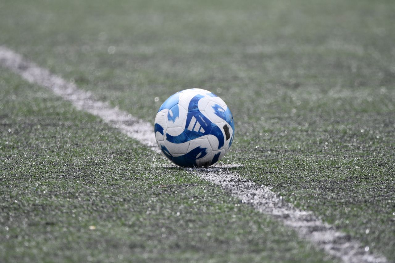 Pelota en el césped