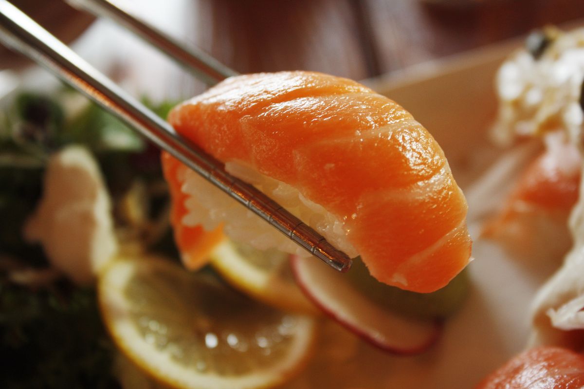 Close-up of fresh salmon nigiri sushi pieces with bright orange salmon on rice