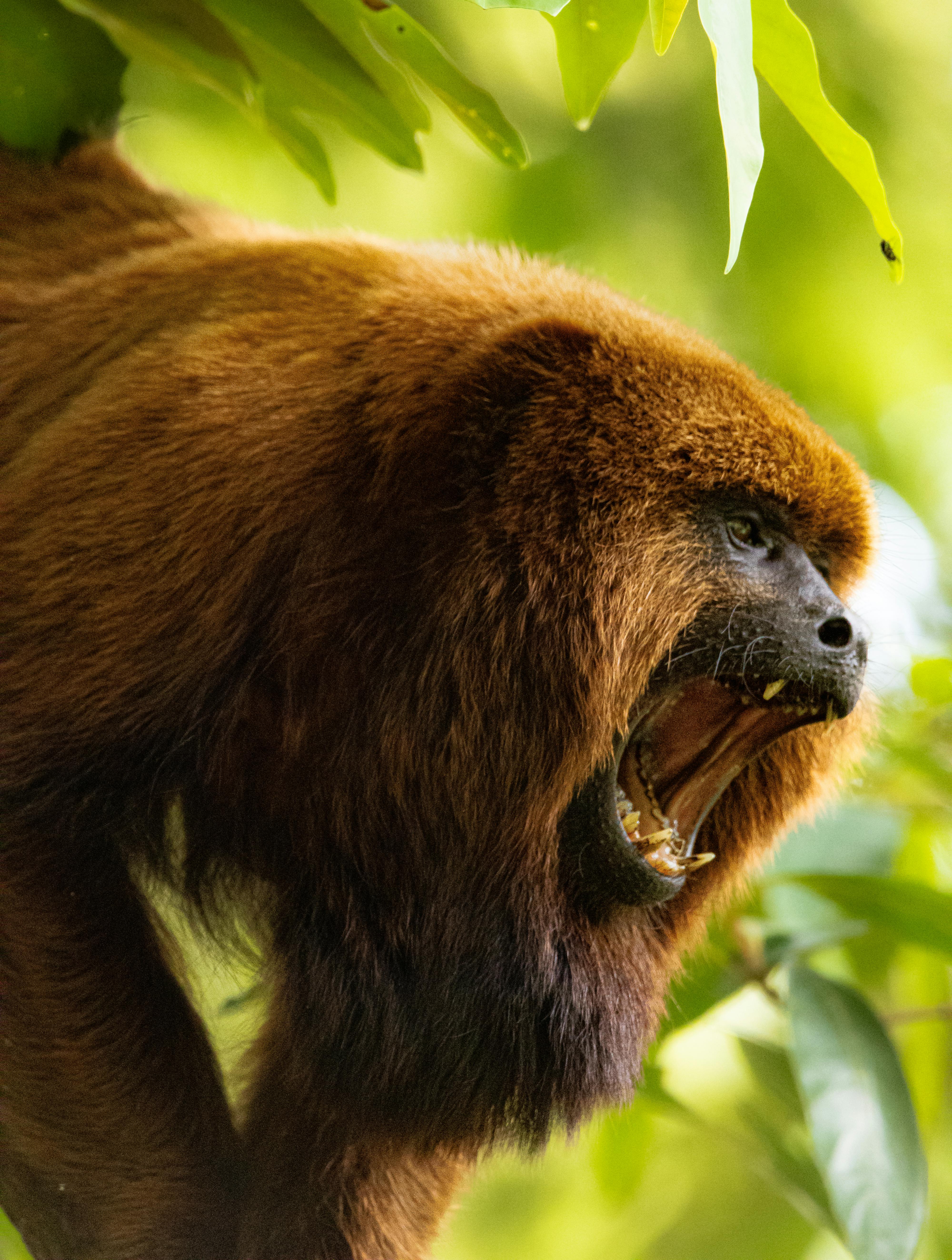 The Art of Simplicity: How Less Can Be More