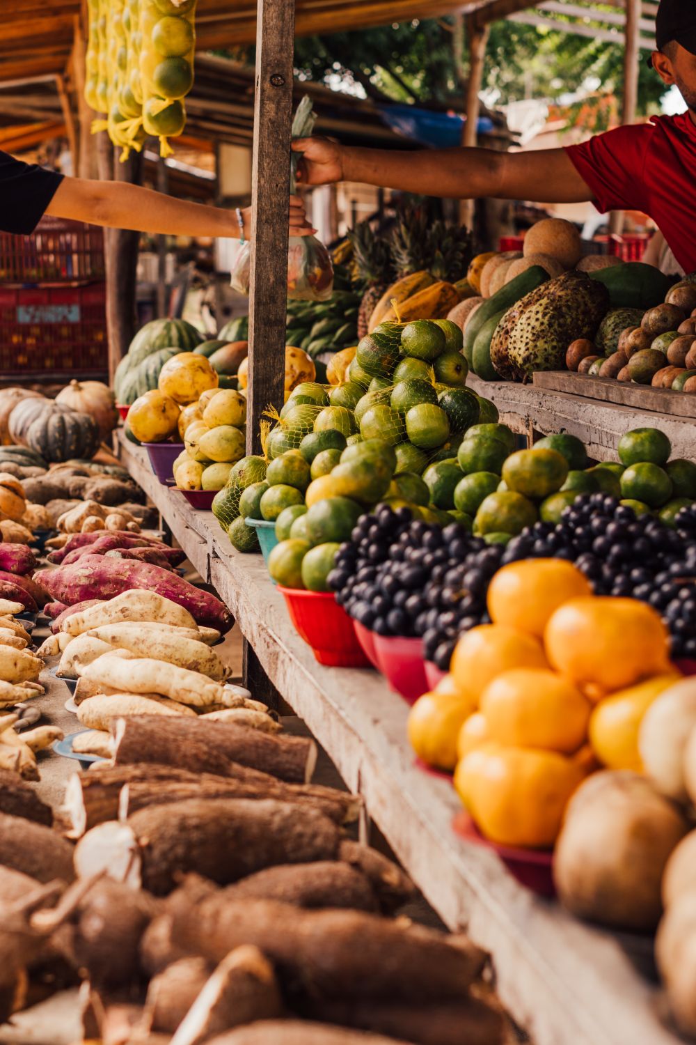 An abundance of fresh fruit piled on a market stall