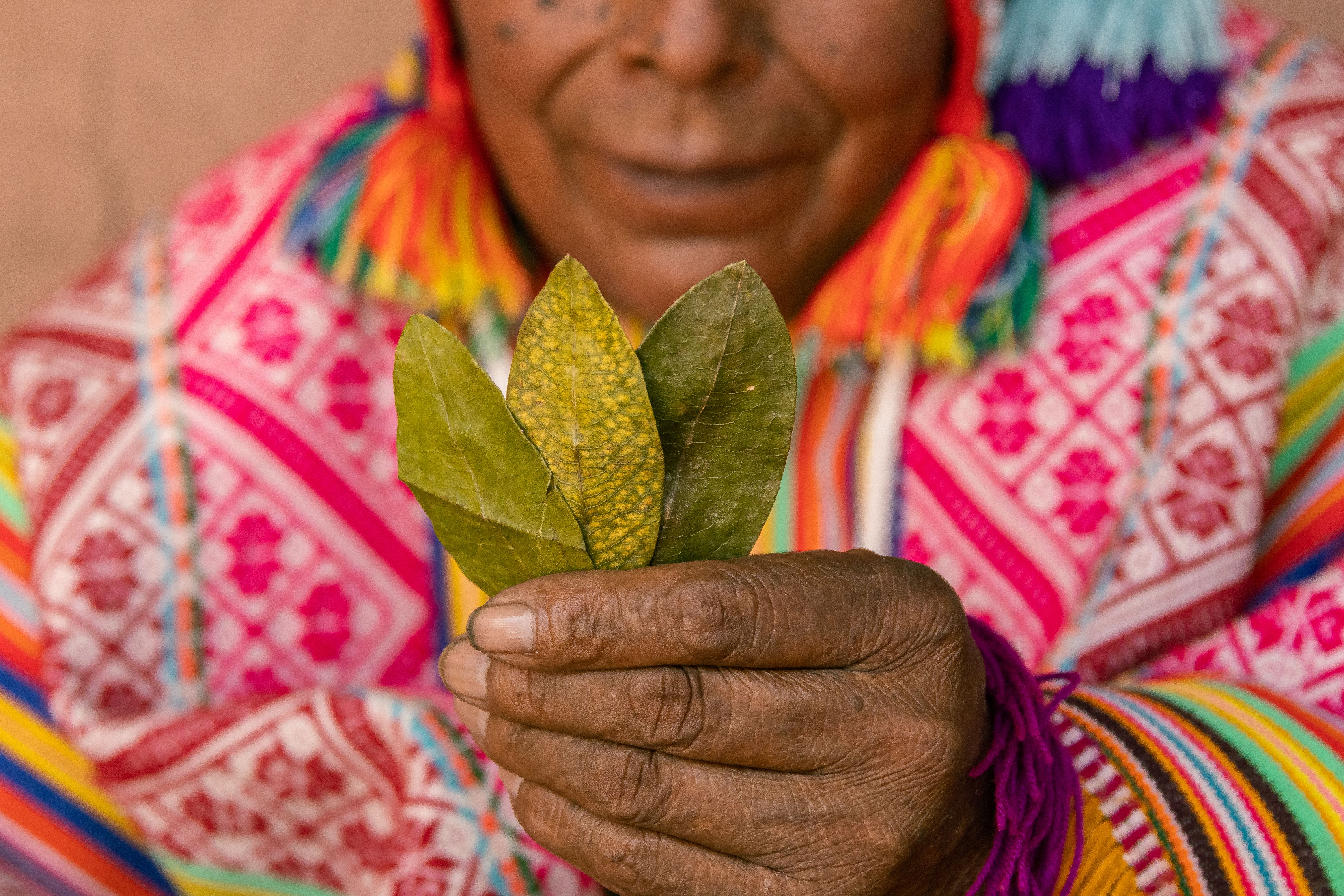 Inca Traditions Photos, Download The BEST Free Inca Traditions Stock ...