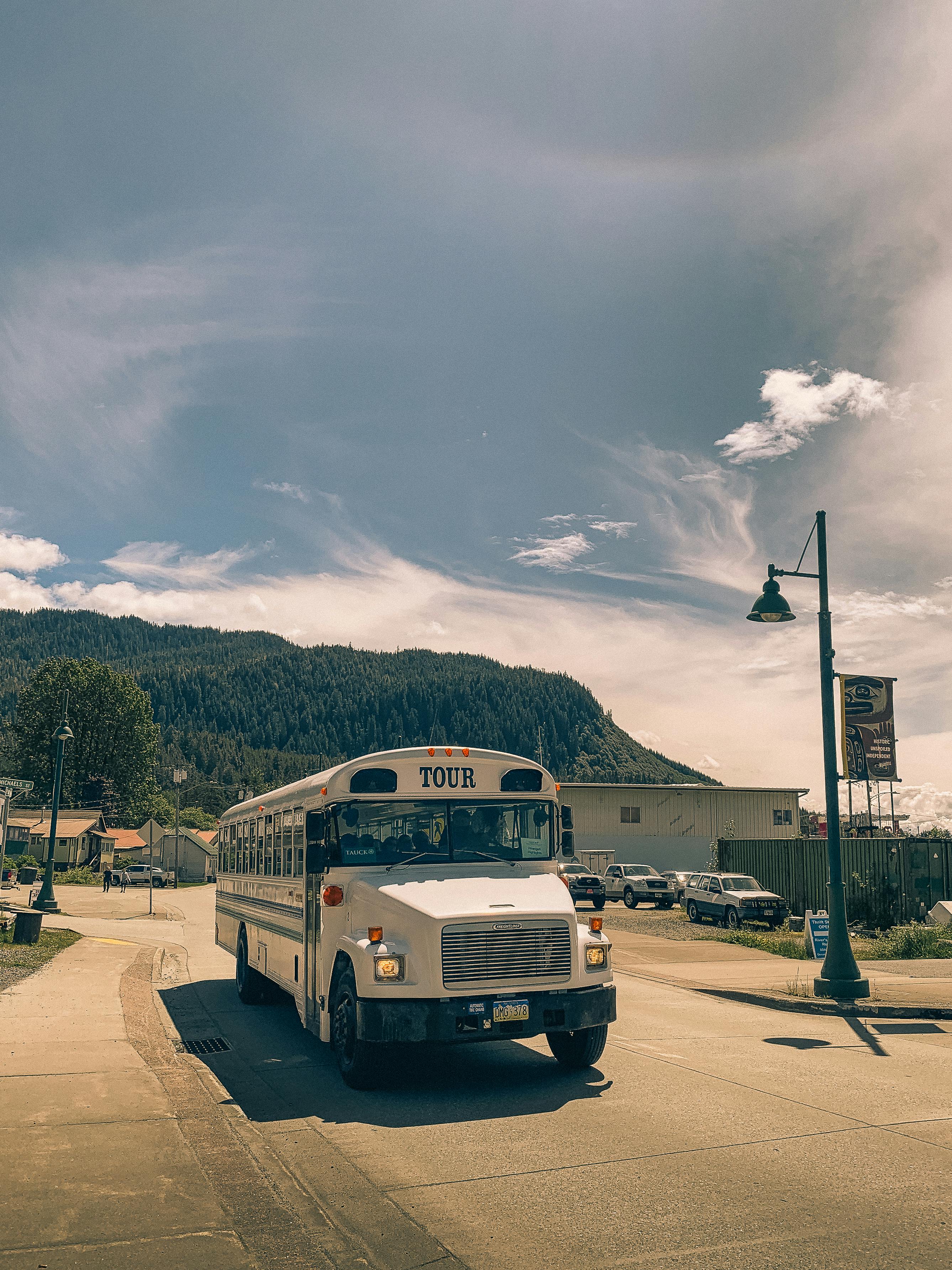 white school bus on street in town