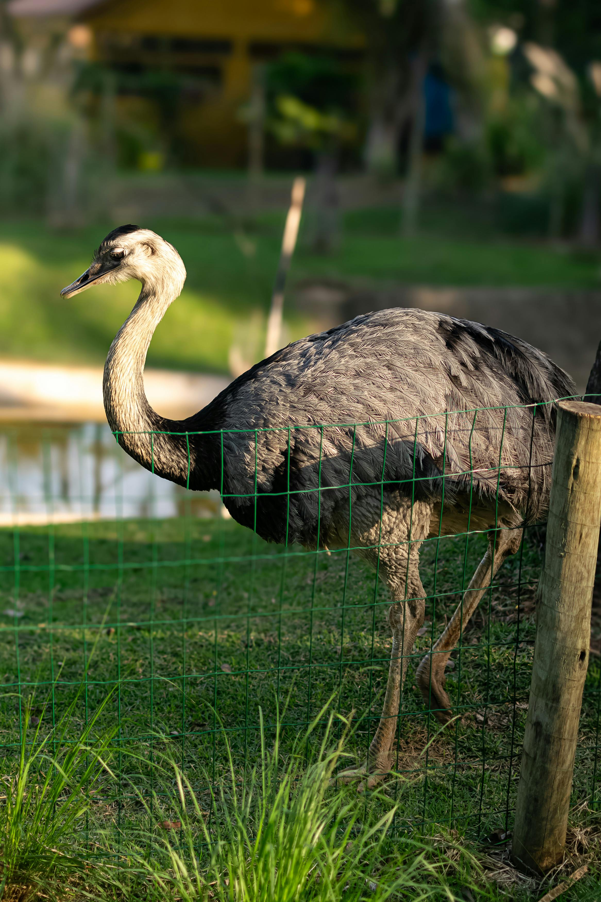 Family Zoo Day Photos Download The BEST Free Family Zoo Day Stock family-zoo-day-photos-download-the-best-free-family-zoo-day-stock