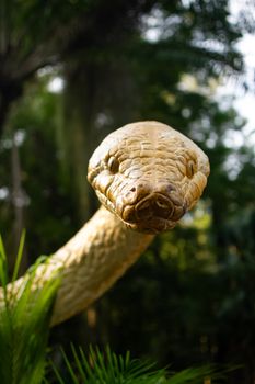 pythons photo