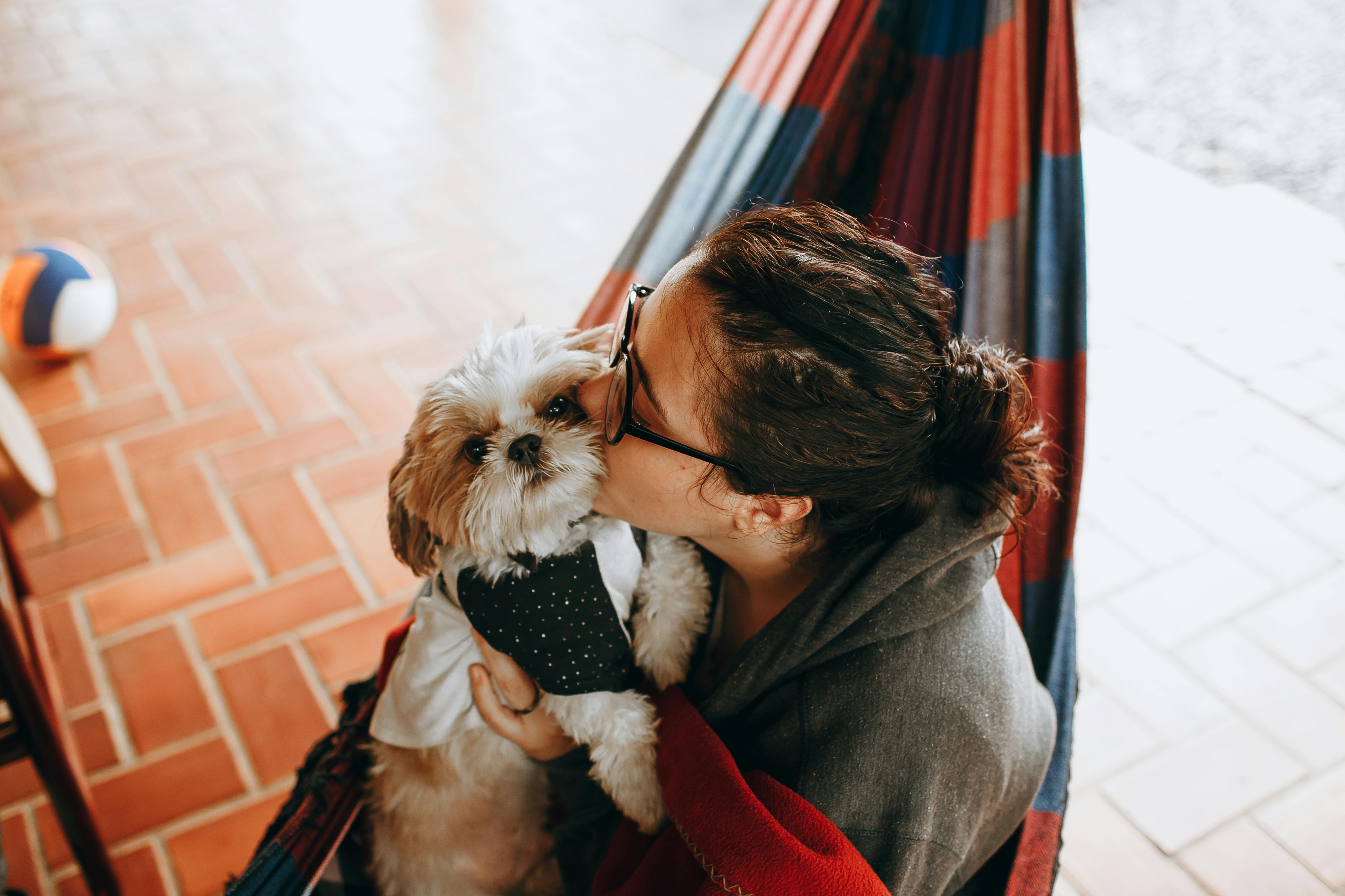 pet care, pet health, pet safety, pet grooming — Photo by Helena Lopes on Pexels