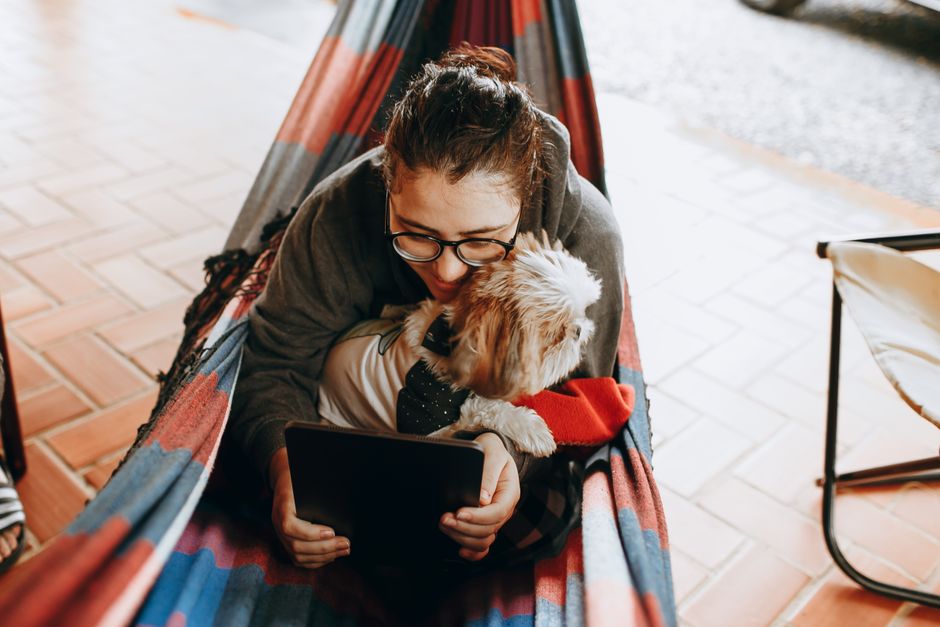 person with dog browsing apartments on tablet - dog friendly apartments near me person with dog browsing apartments on tablet - dog friendly apartments near me