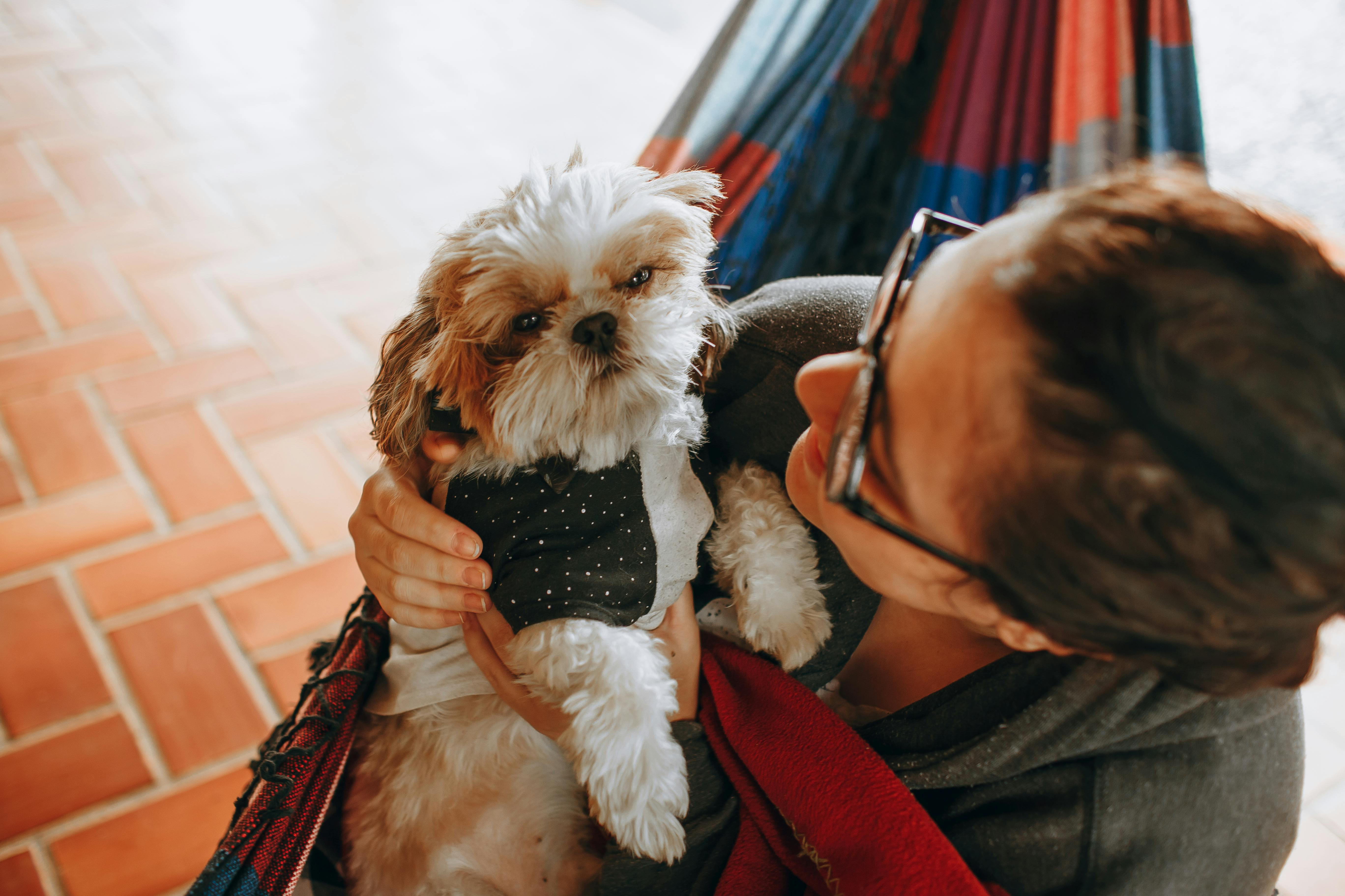 pet care pet health — Photo by Helena Lopes on Pexels