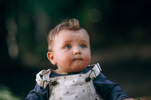 Free Charming portrait of a baby wearing overalls, with a thoughtful gaze, in a natural outdoor setting. Stock Photo