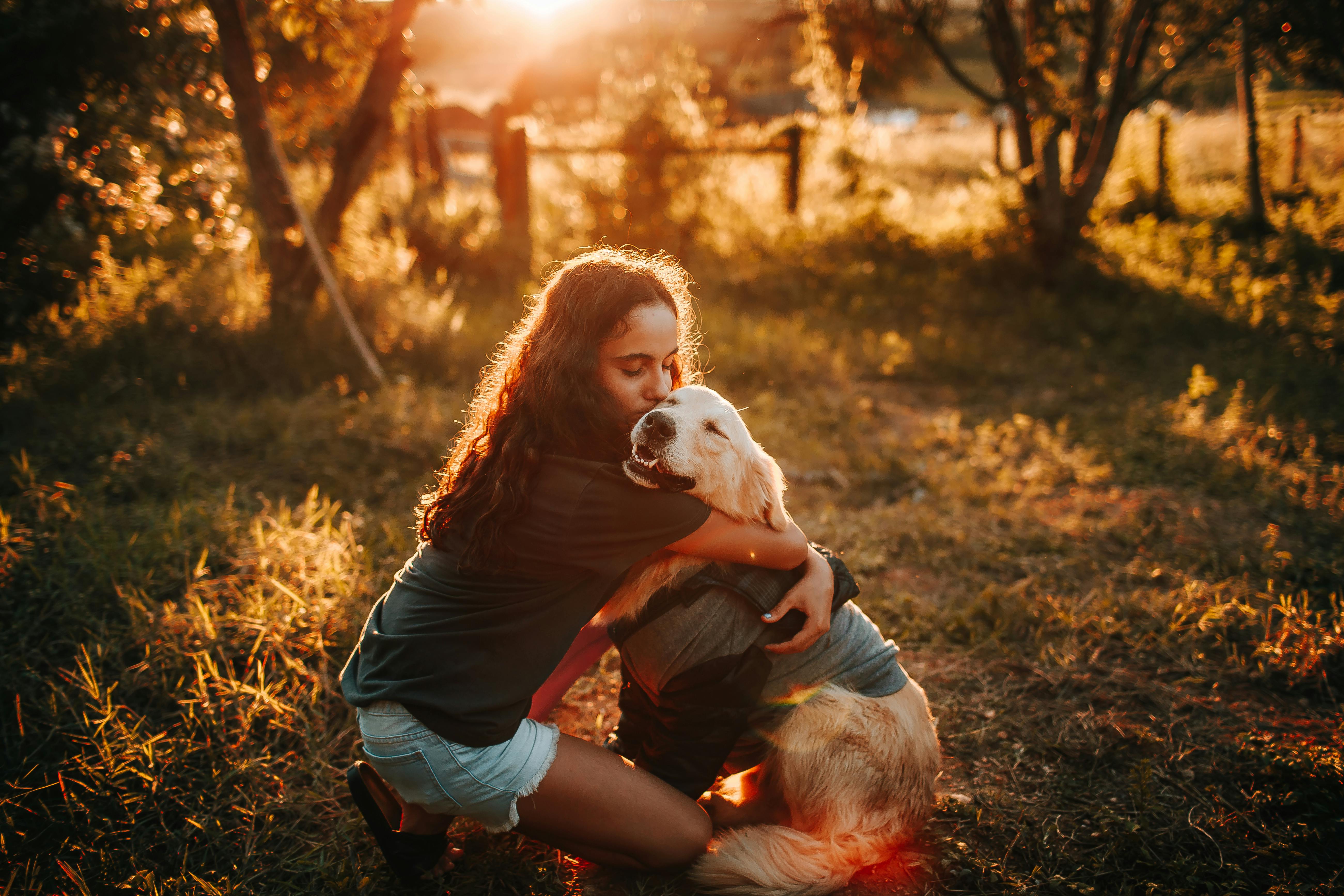 Free A woman hugs her Golden Retriever during a warm sunset in a grassy field. Stock Photo