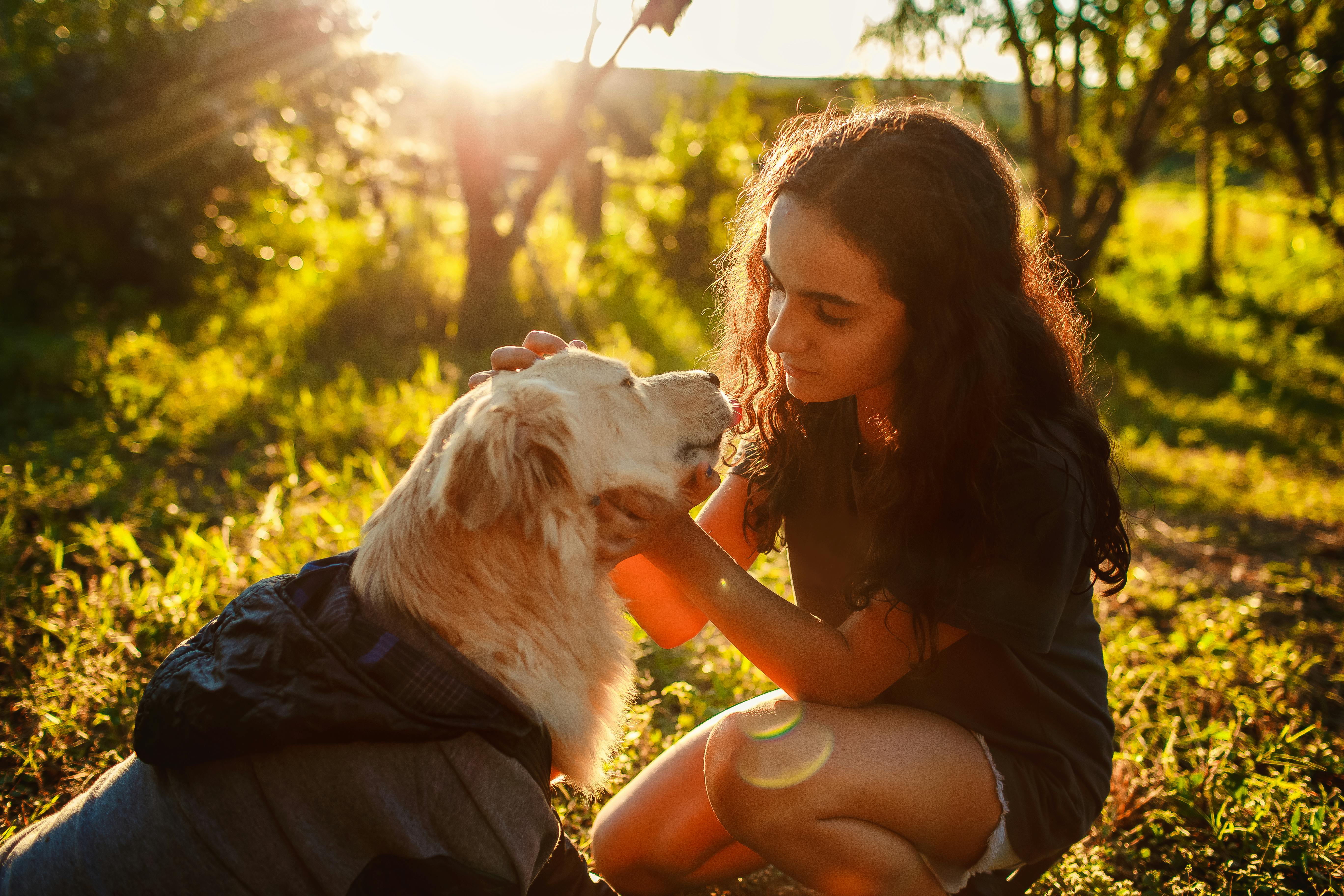 Yellow Ribbon Pet Safety Campaign promoted in Renfrew County — Photo by Helena Lopes on Pexels
