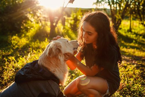 Free A girl gently pets a dog in a sunlit park, capturing a heartfelt moment of companionship. Stock Photo