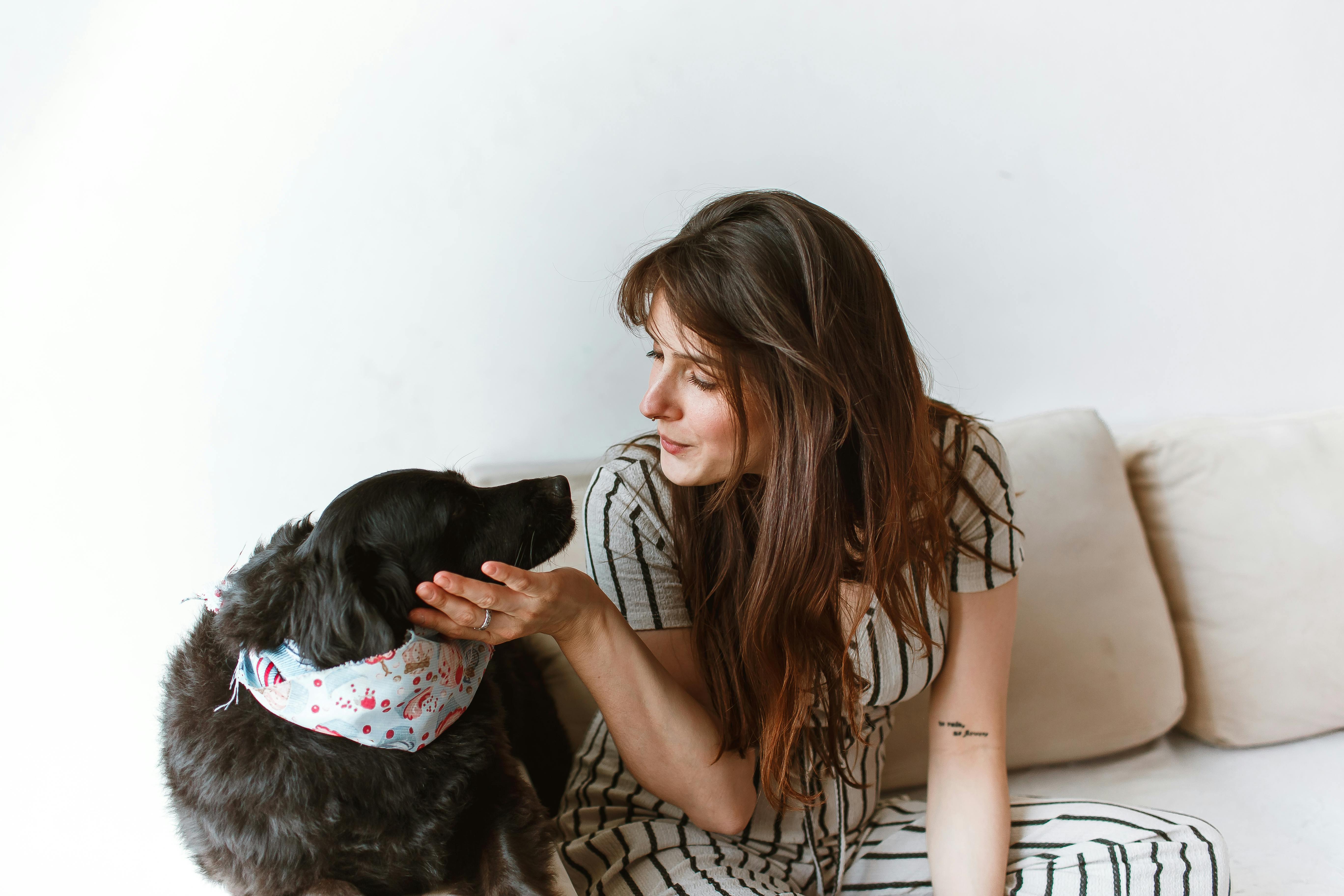 Latina-Founded Pet Lifestyle Brand Bundle x Joy Expands into PetSmart Stores Nationwide — Photo by Helena Lopes on Pexels