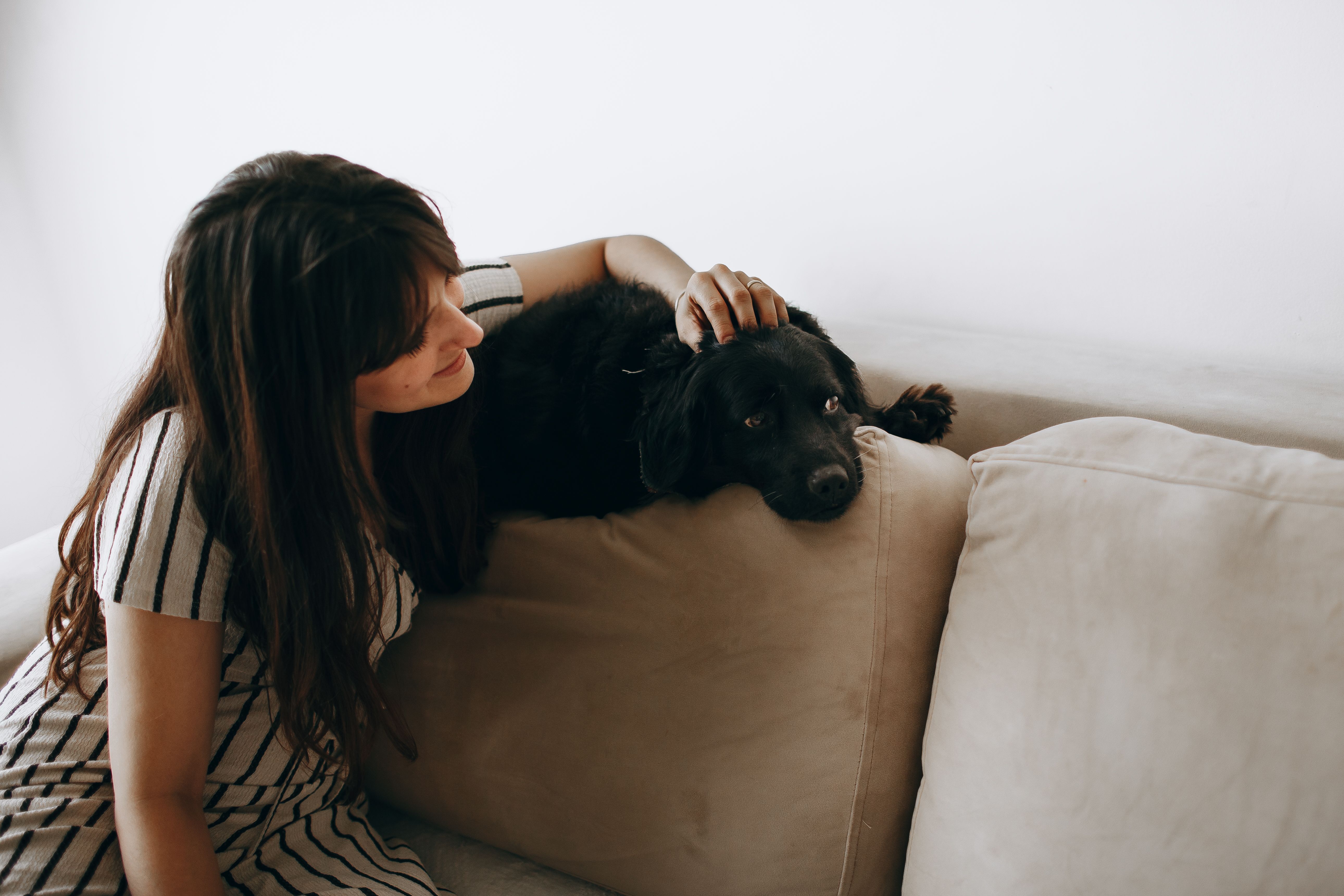 pet care pet health — Photo by Helena Lopes on Pexels