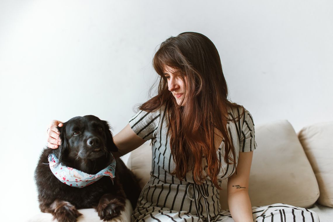 Pet owner caring for a black dog while sitting together on a comfortable sofa