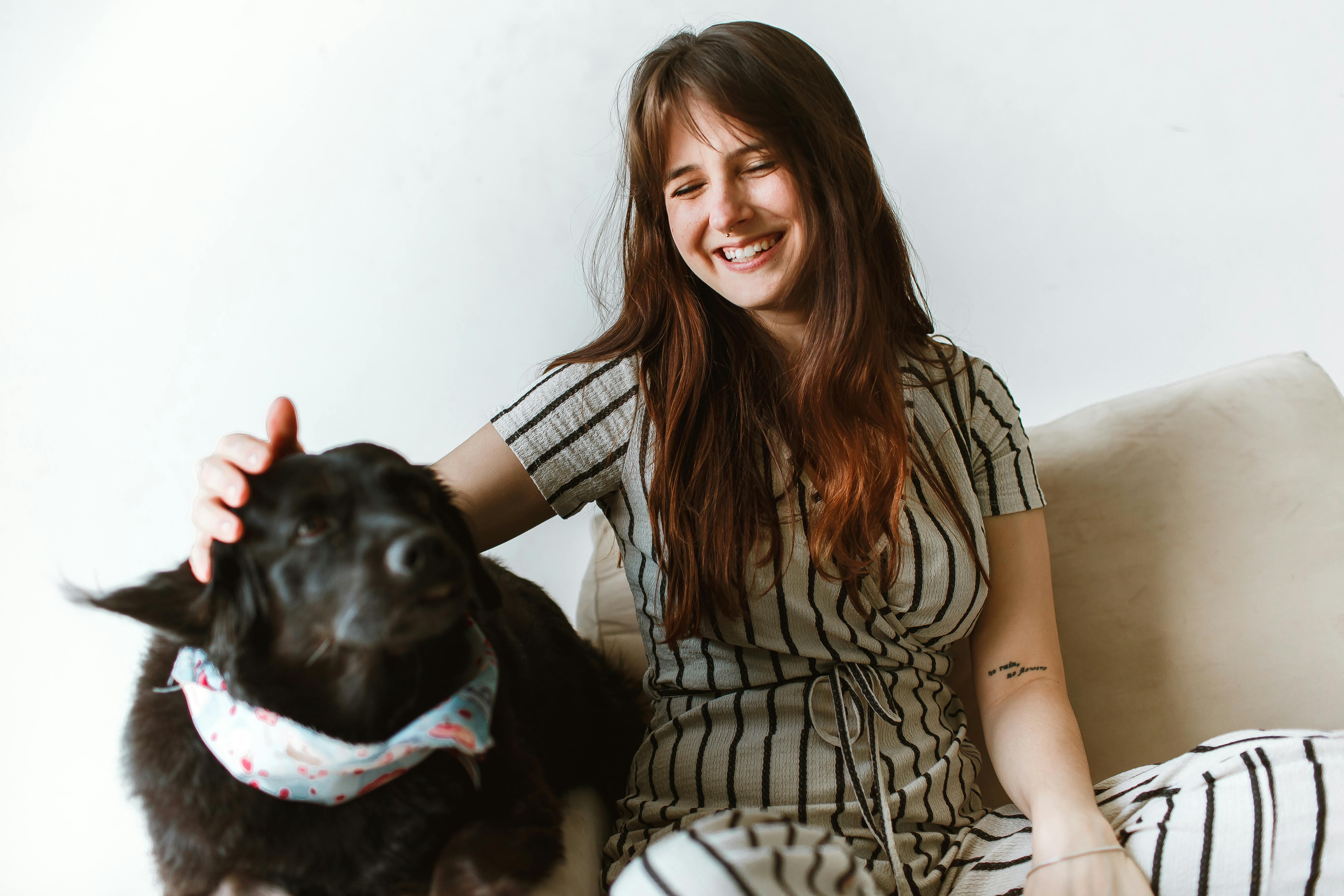 Top 7 at-home dog grooming services NYC pet owners love in 2026 — Photo by Helena Lopes on Pexels