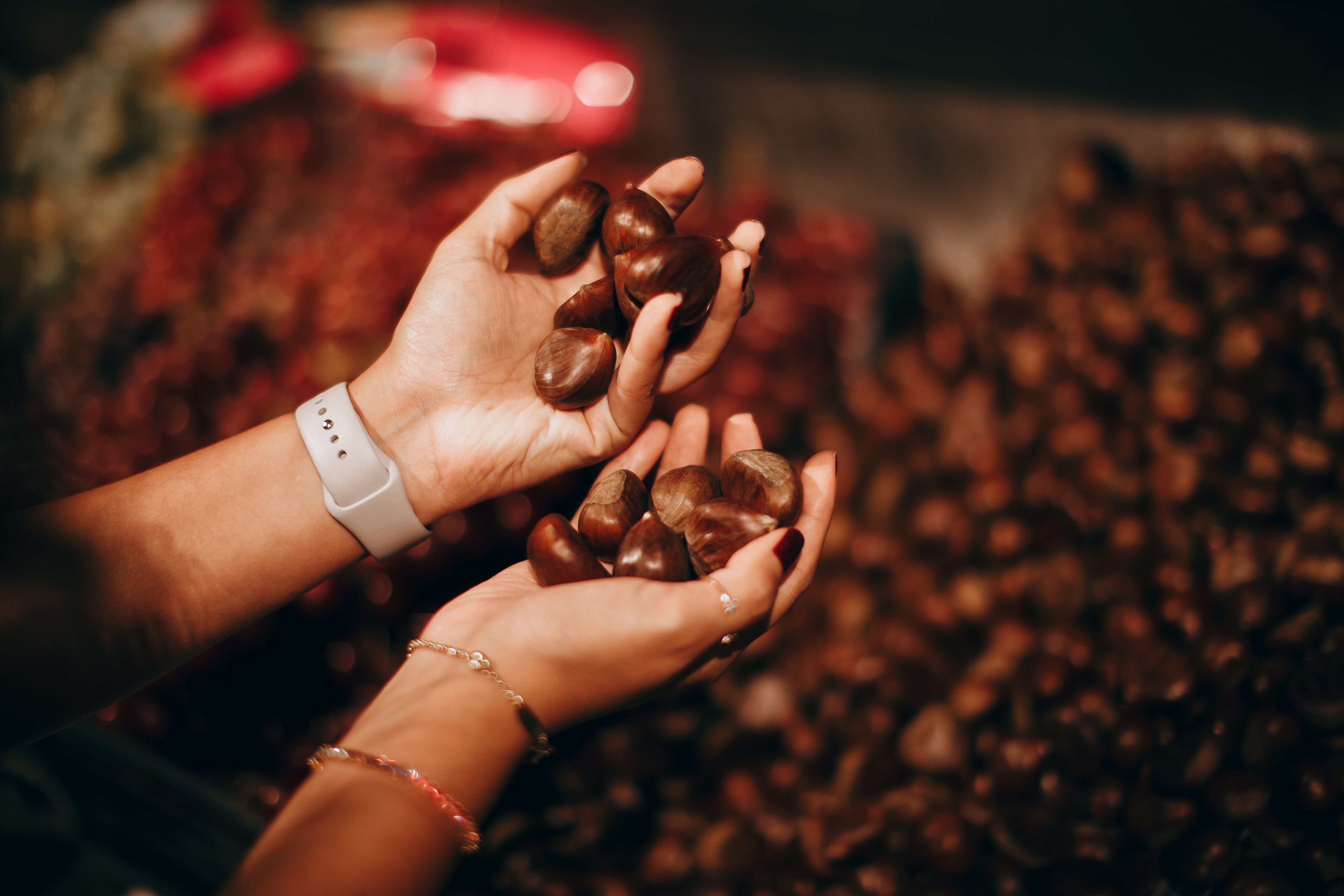 Hands holding fresh chestnuts at a market, showcasing autumn harvest theme.