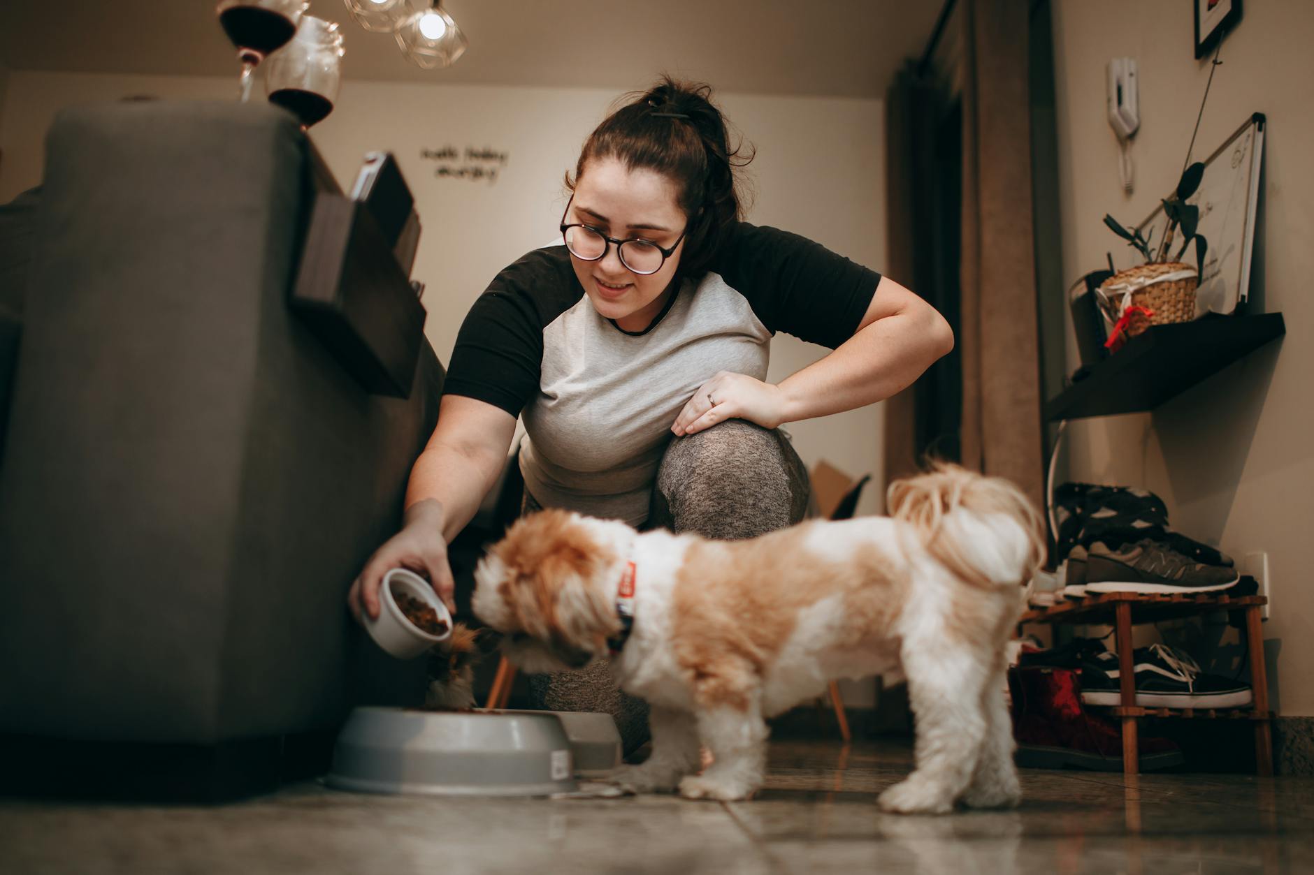 A woman in a casual outfit feeds her small dog indoors, creating a warm, cozy atmosphere.
