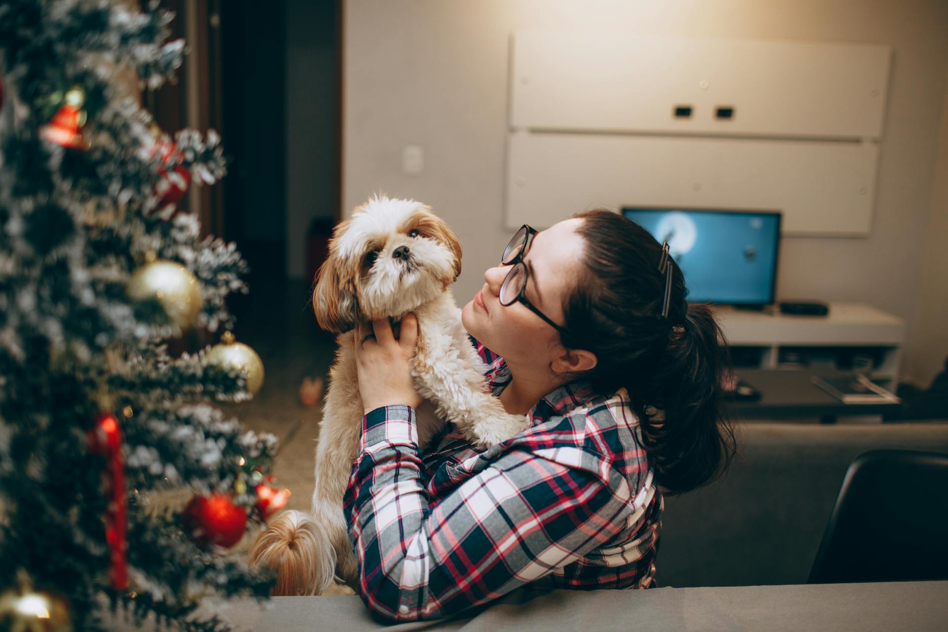 A woman holding a dog in front of a christmas tree