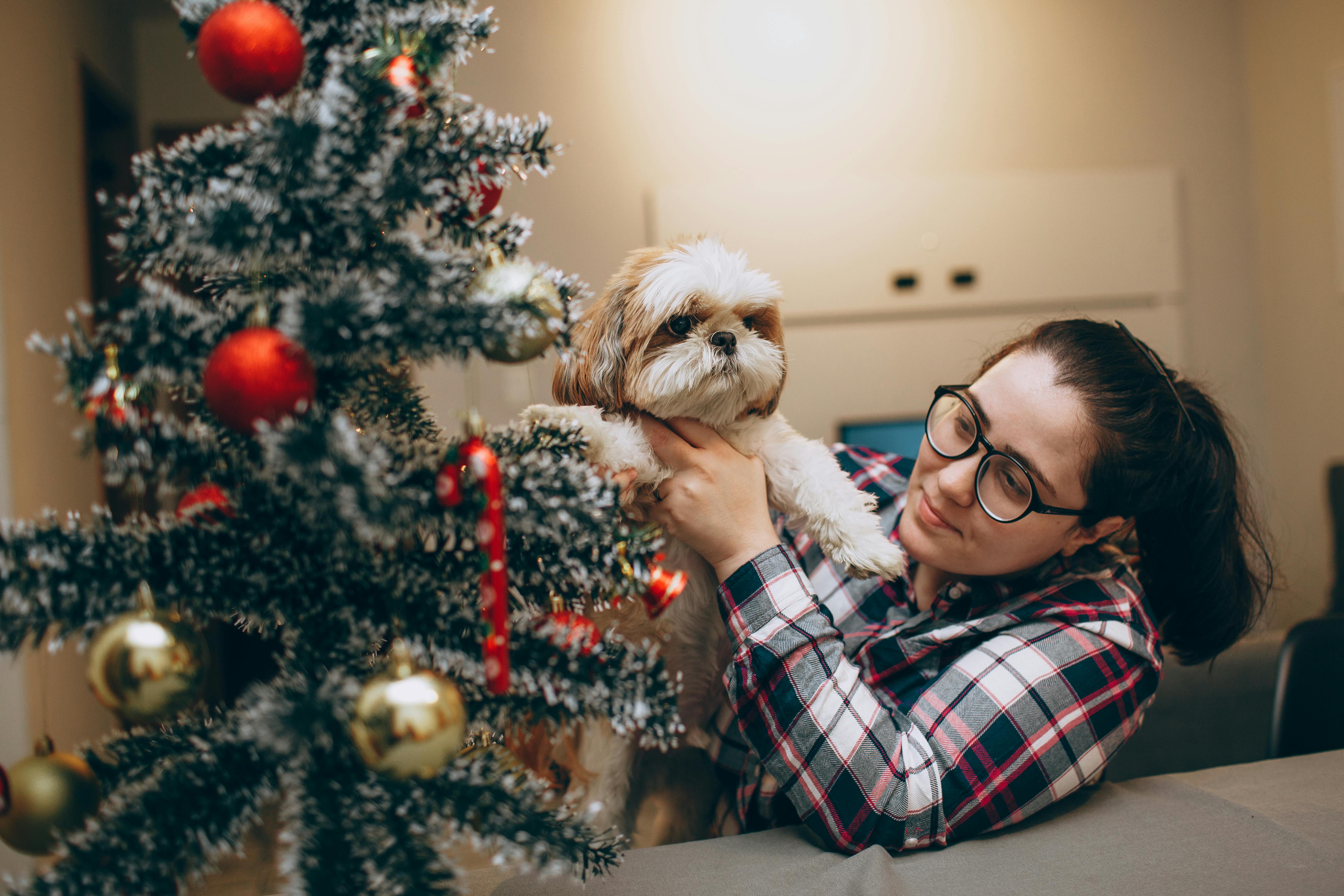 A woman in glasses and a plaid shirt is holding a dog