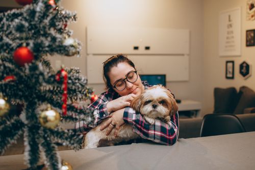 Free Woman embracing her Shih Tzu dog by a Christmas tree indoors, conveying warmth and festive mood. Stock Photo