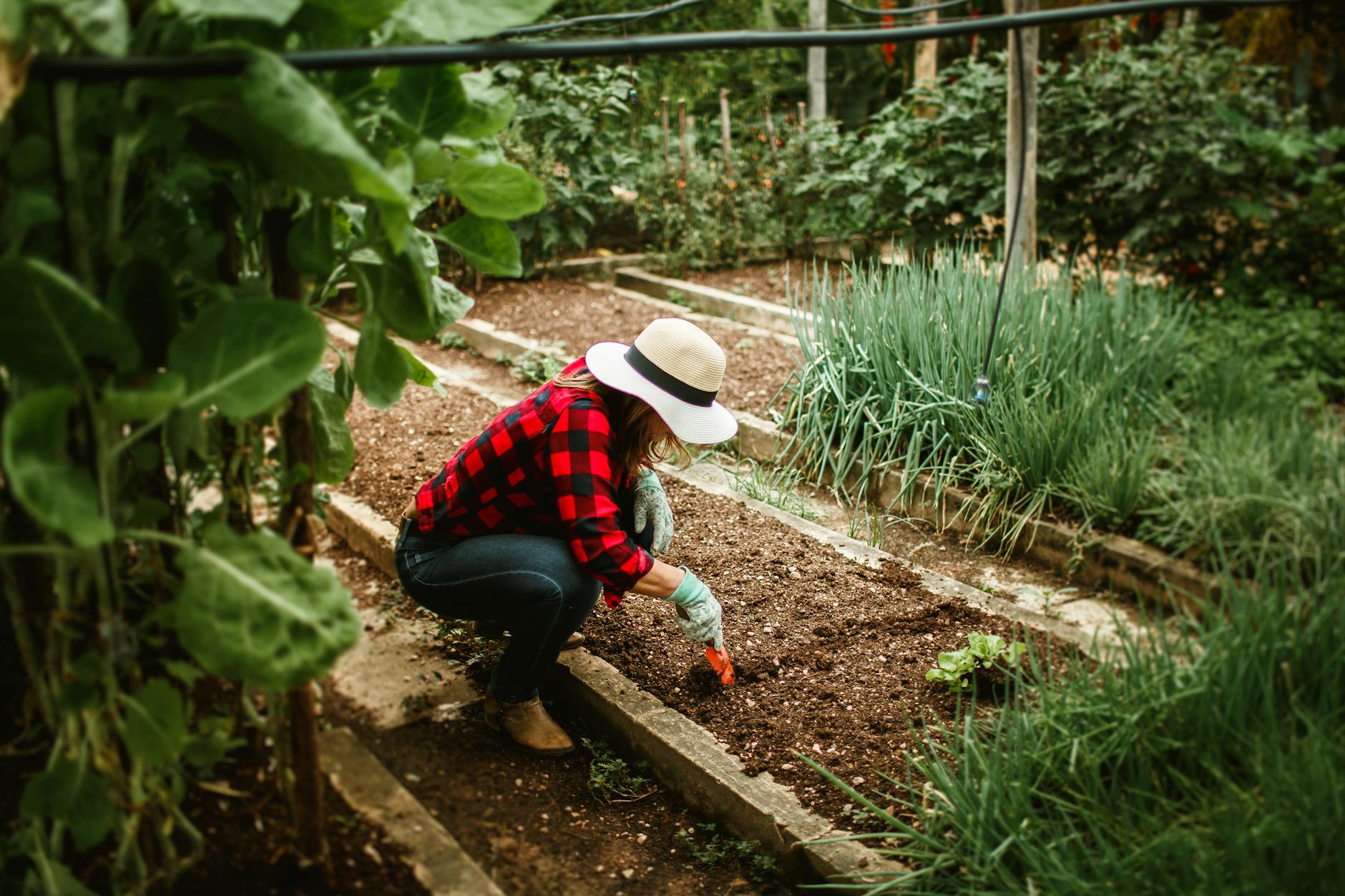 https://www.pexels.com/photo/woman-working-in-garden-27176055/