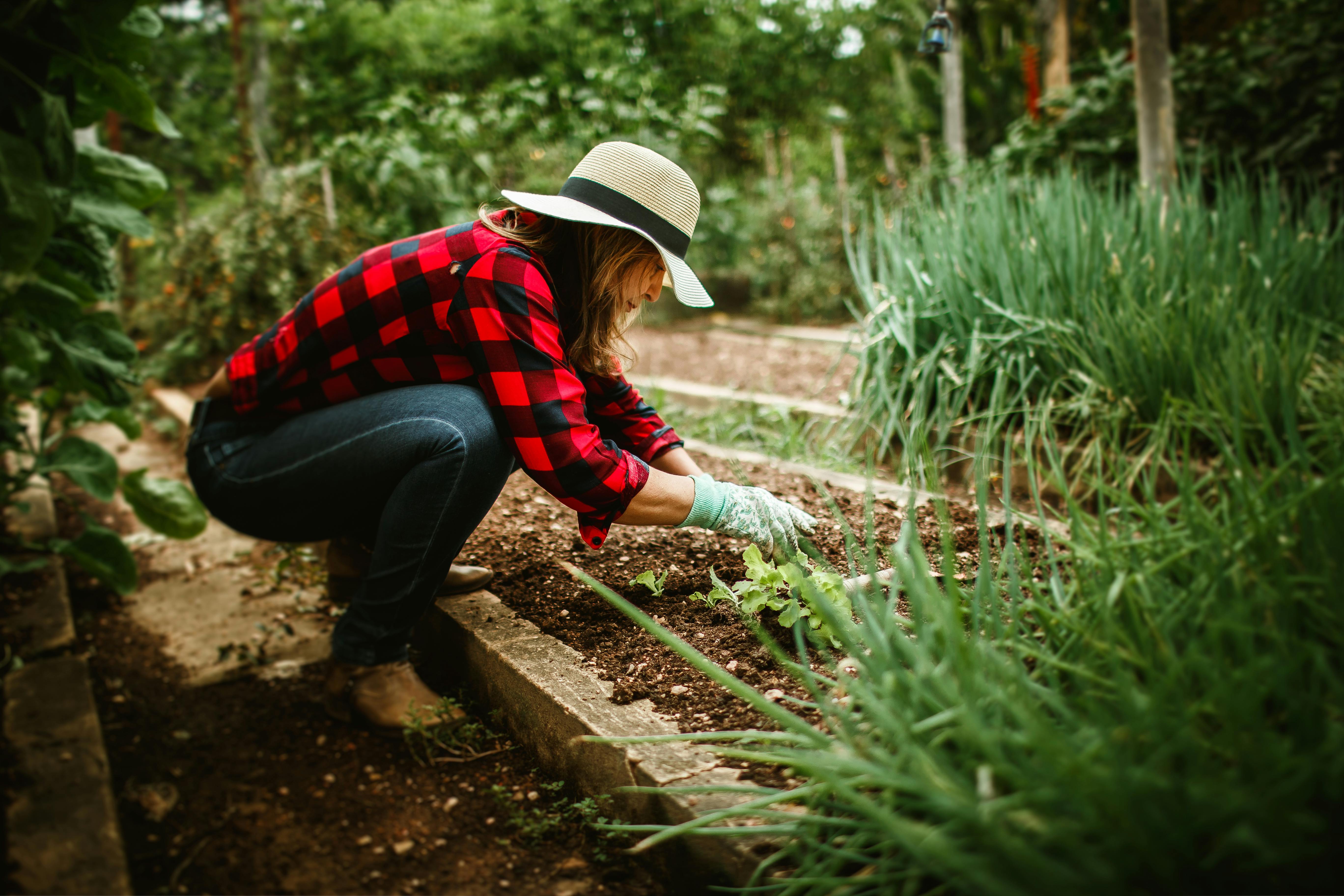 Woman in a sun hat joyfully tending to her lush, abundant vegetable garden