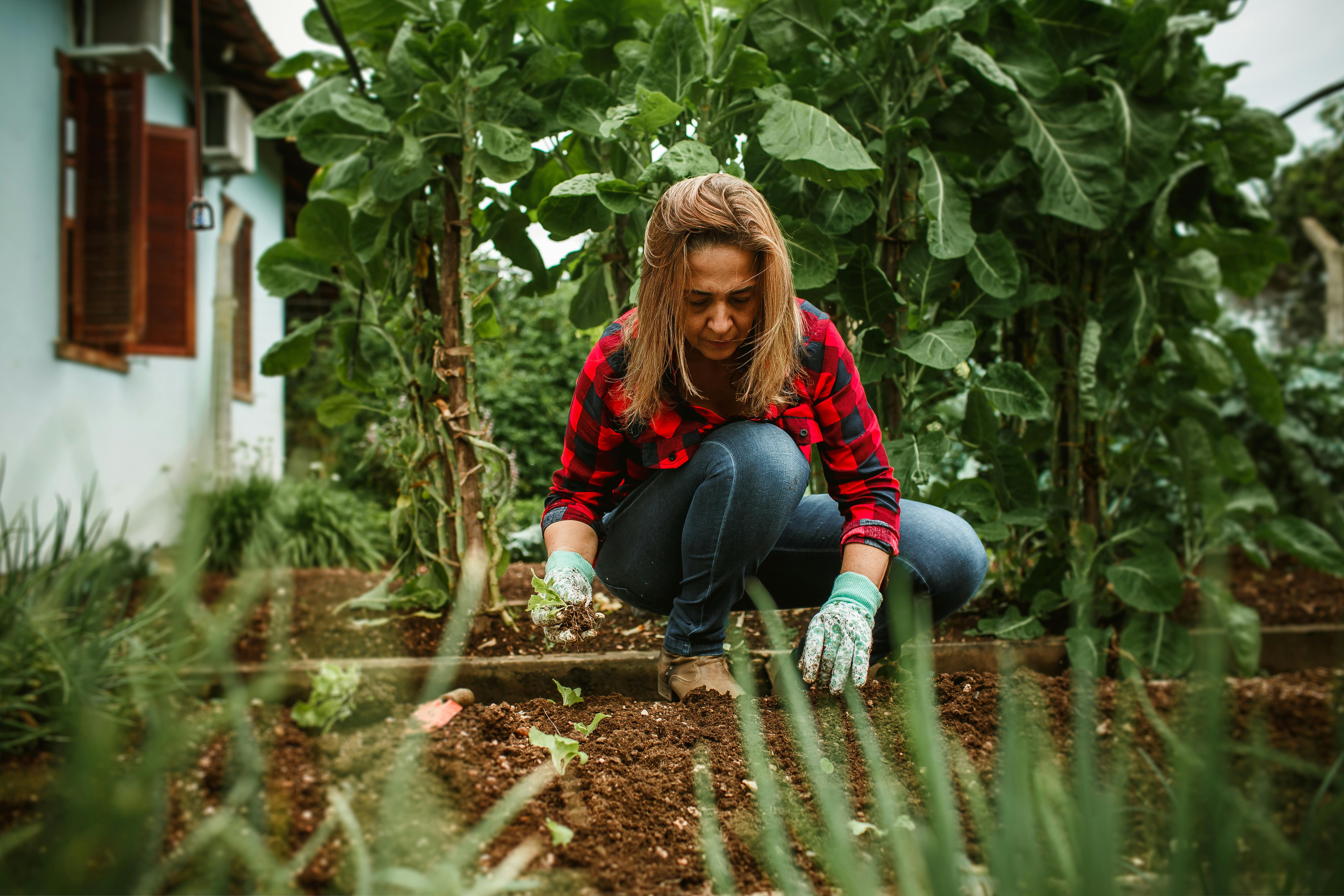Gardening Doesn’t Have to Be Grueling—15 Clever Gardening Tools Under $30 That Save the Back-Straining Energy — Photo by Hele