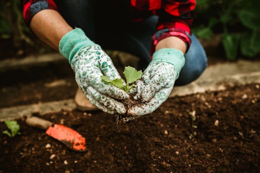 Close-up of hands with gloves planting a seedling in rich soil, a symbol of sustainable gardening.