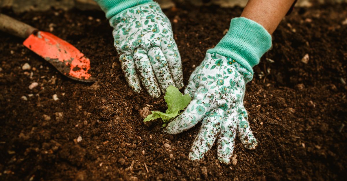 Why Your Gardening Gloves Fail Most People (And What Actually Works for Lasting Protection)