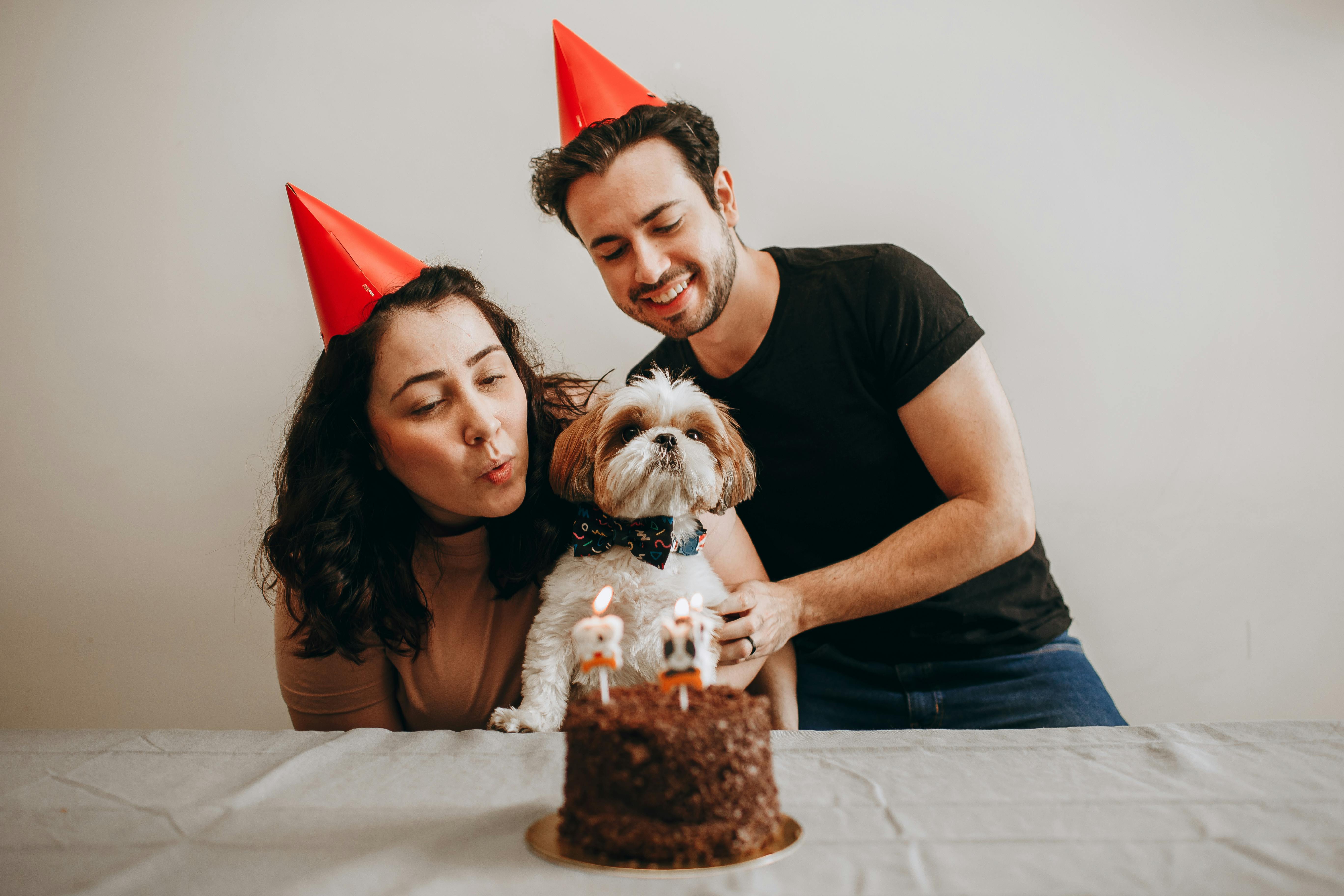 A couple and their dog celebrating their birthday