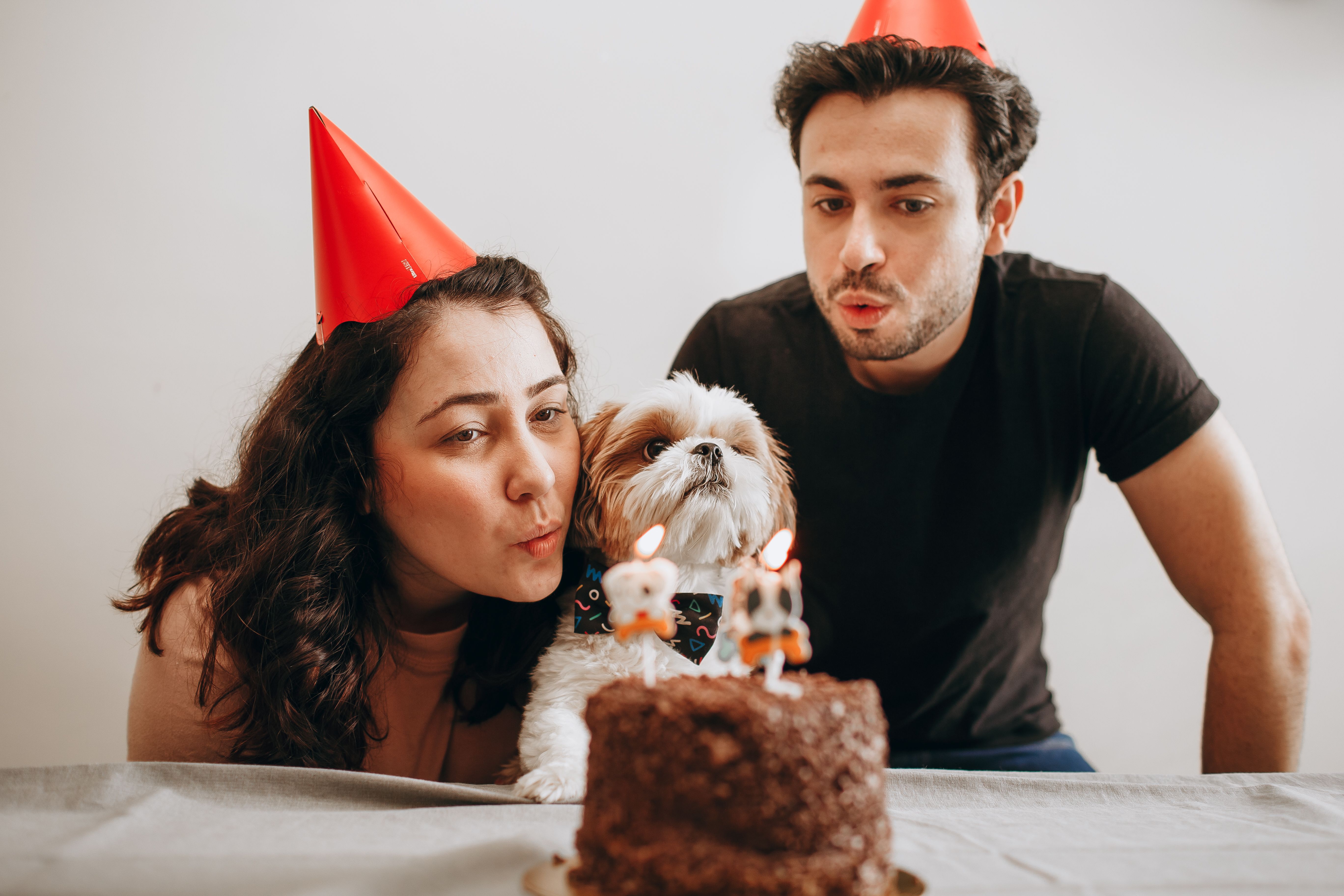 Couple celebration their dog's birthday with Pup cake with candle placed on it