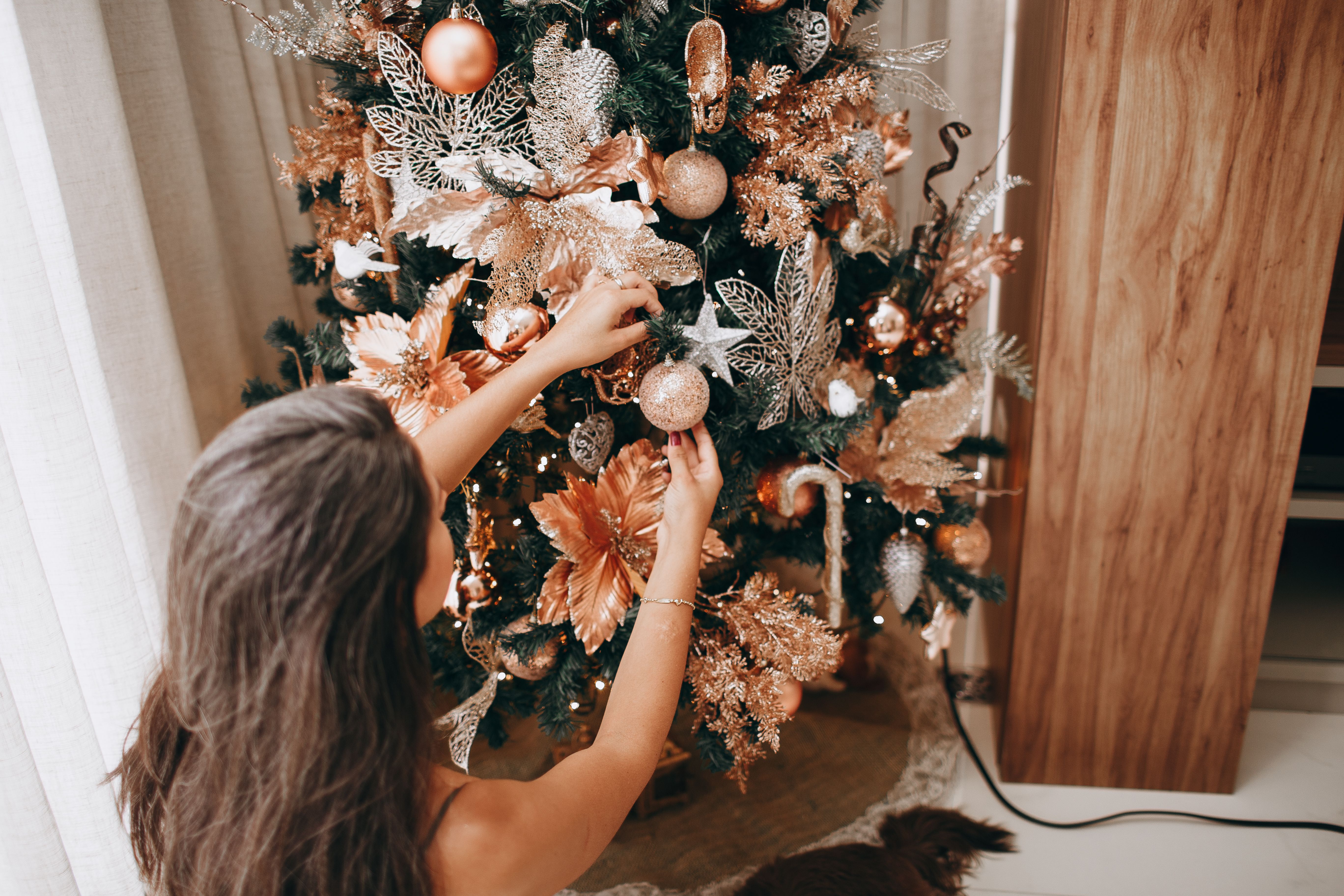 Christmas Decor and Affiliate Brands of Decor Group Acquired by Tucker’s Farm — Photo by Helena Lopes on Pexels