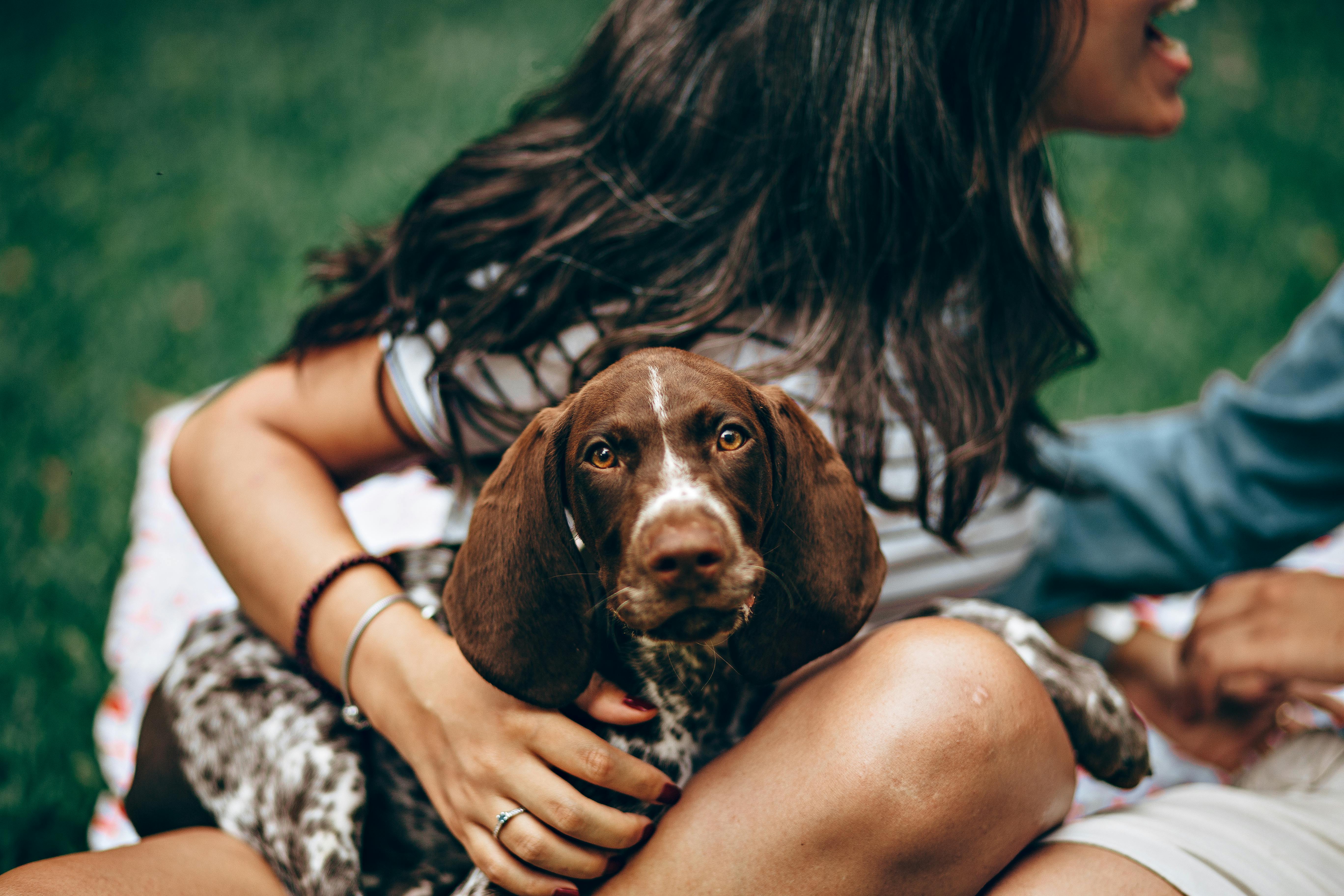 pet lifestyle pets lifestyle — Photo by Helena Lopes on Pexels