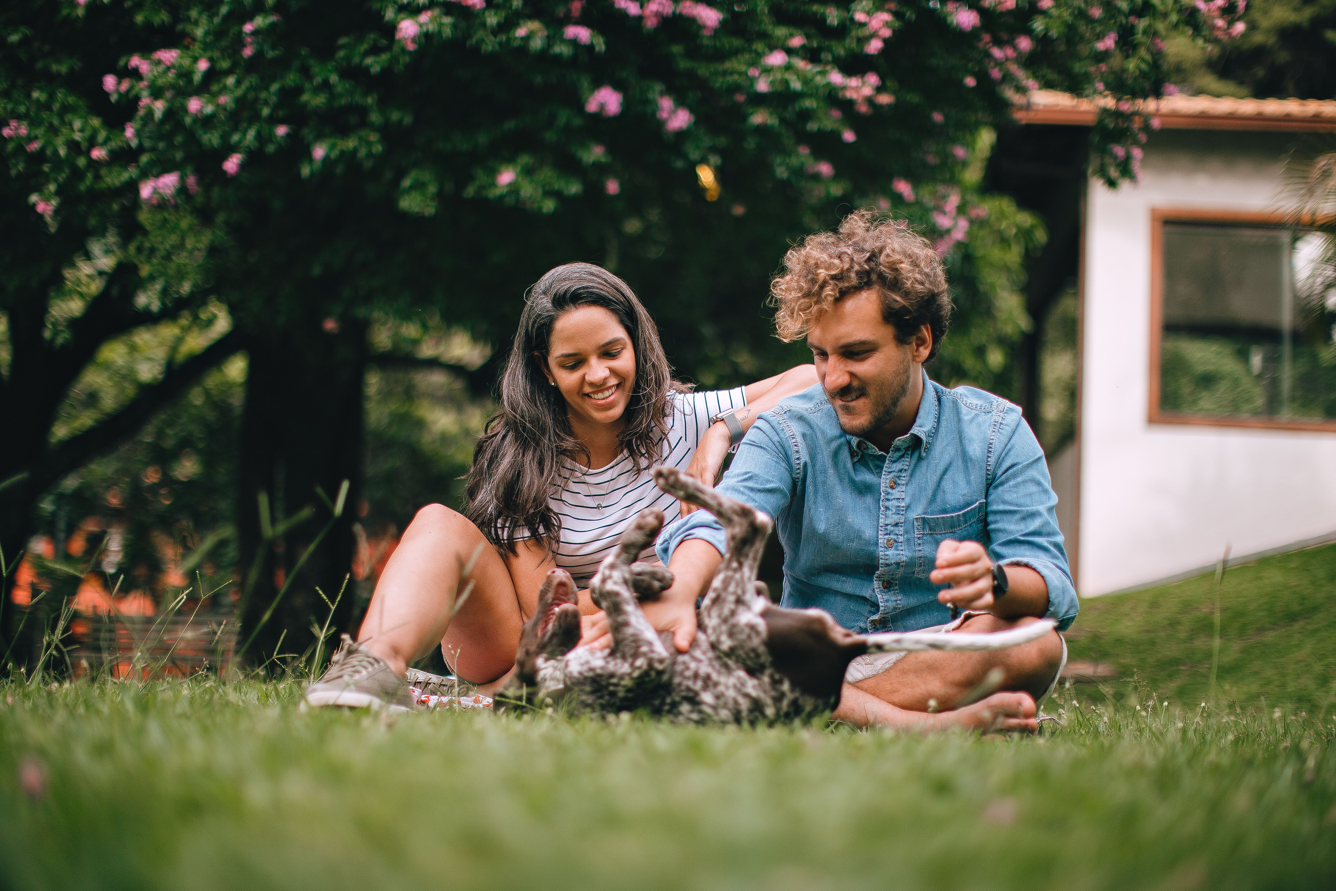 A Couple Sitting in a Garden with Their Dog · Free Stock Photo