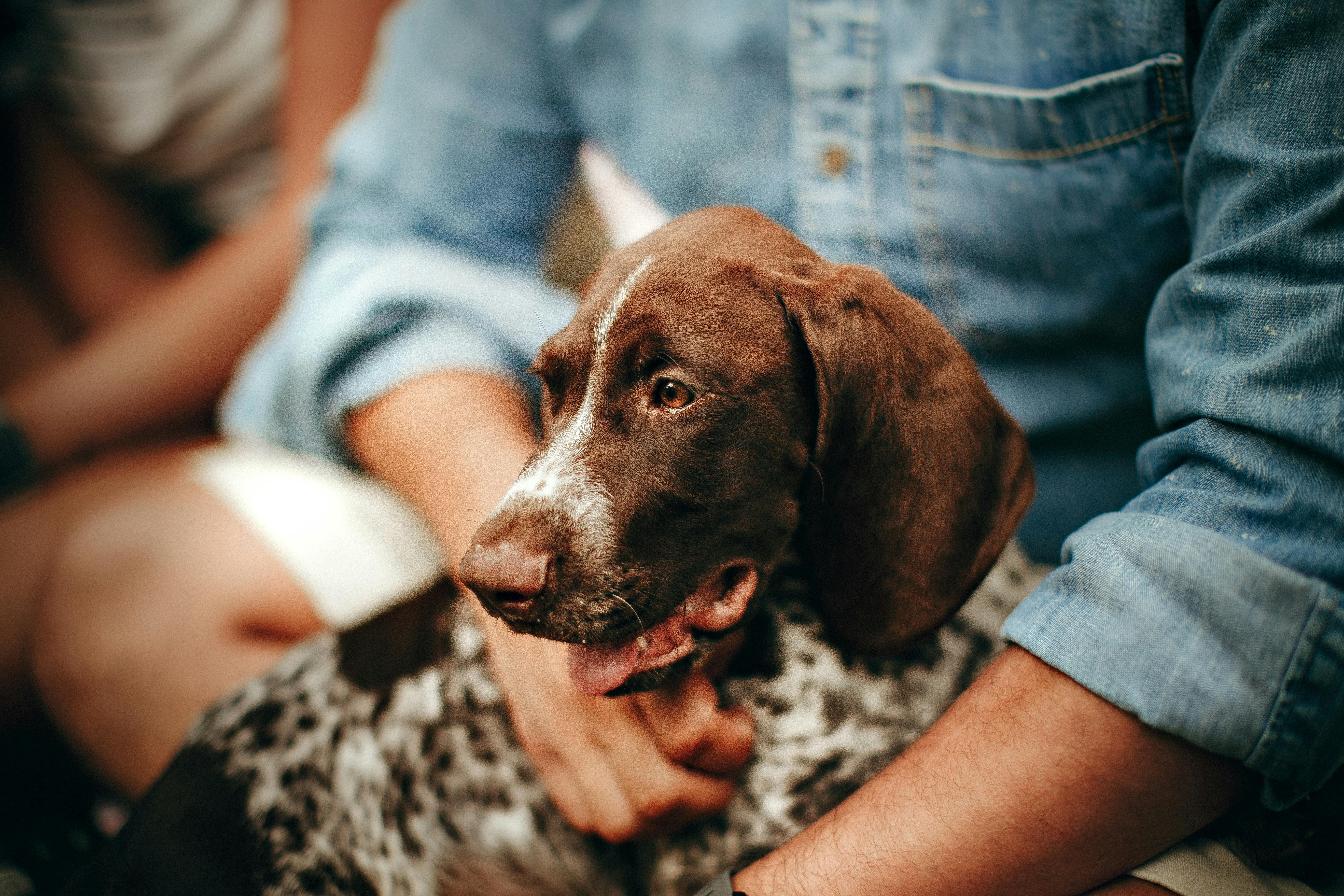 A man holding a dog in his lap