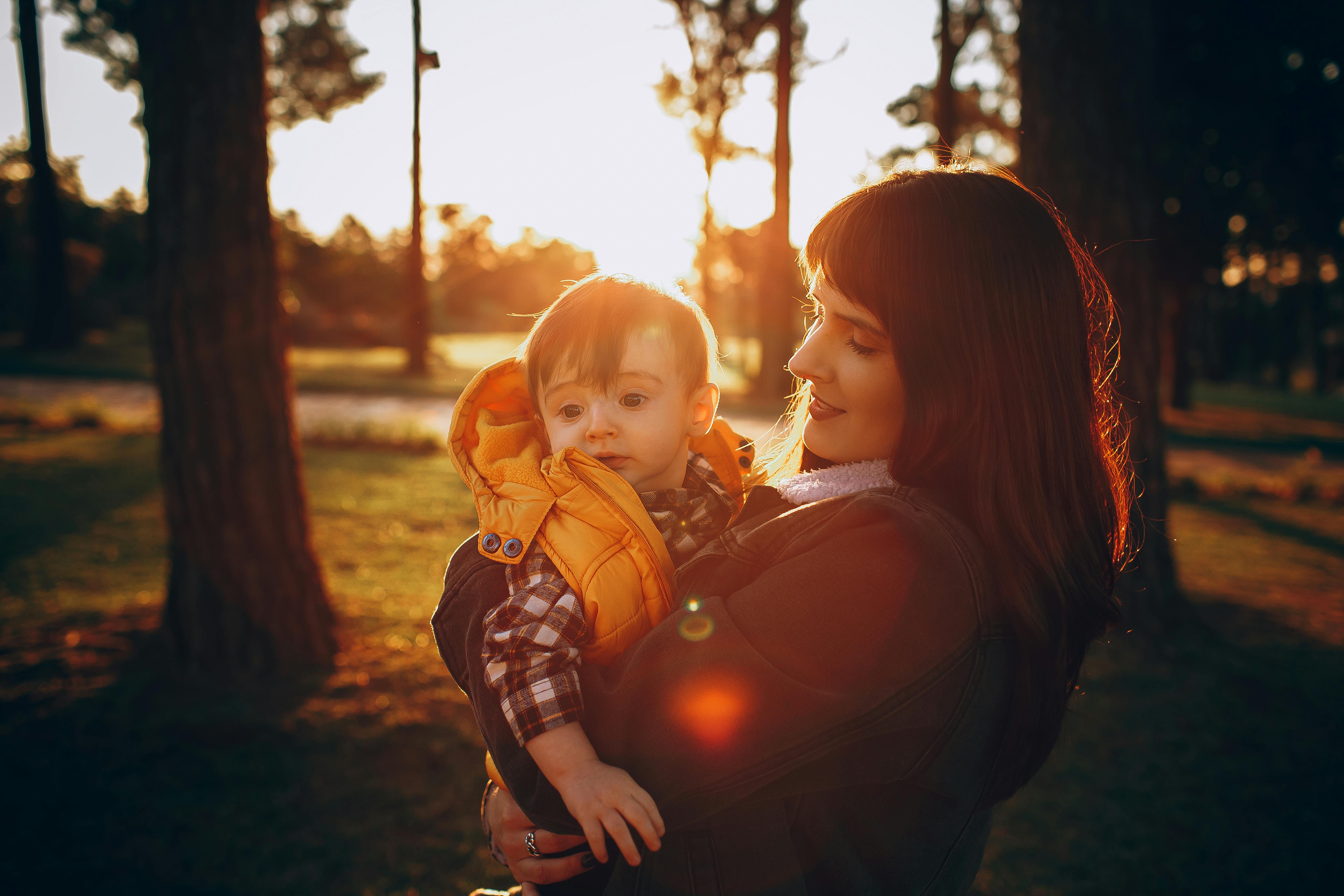 family law, child custody, alimony, legal separation, prenuptial agreements, divorce and family law, divorce law — Photo by H