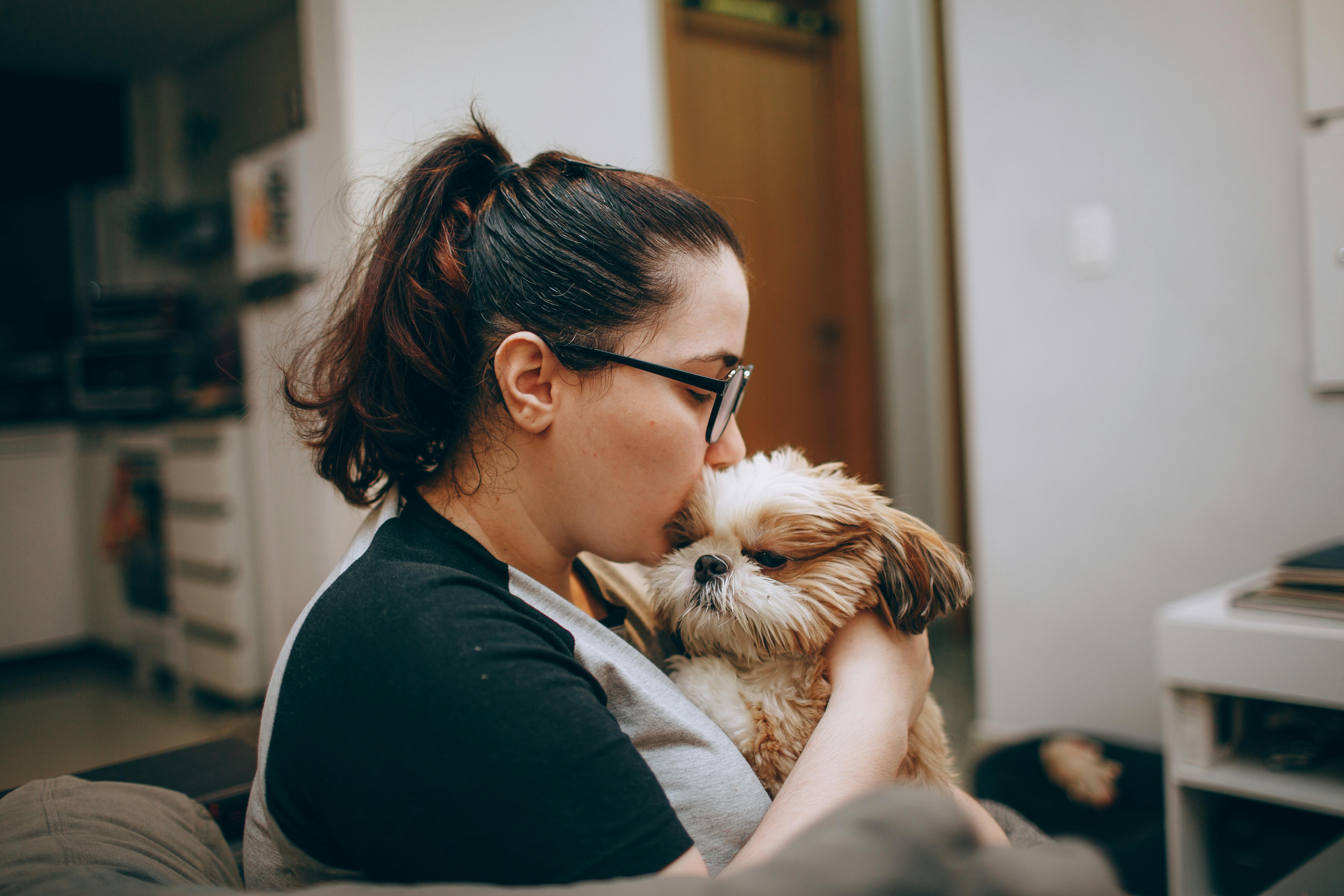 pet care, pet health, pet safety, pet grooming — Photo by Helena Lopes on Pexels