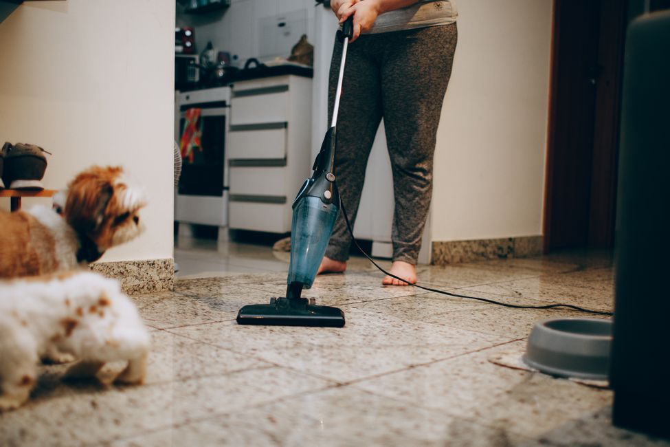 Melhor robô aspirador para quem tem pets