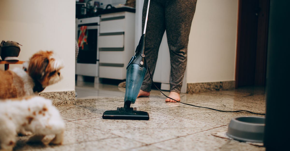 Como Organizar Coisas de Pet em Casa: Guia para Cães e Gatos Como organizar coisas de pet: mulher aspirando o chão de casa enquanto o cachorro observa
