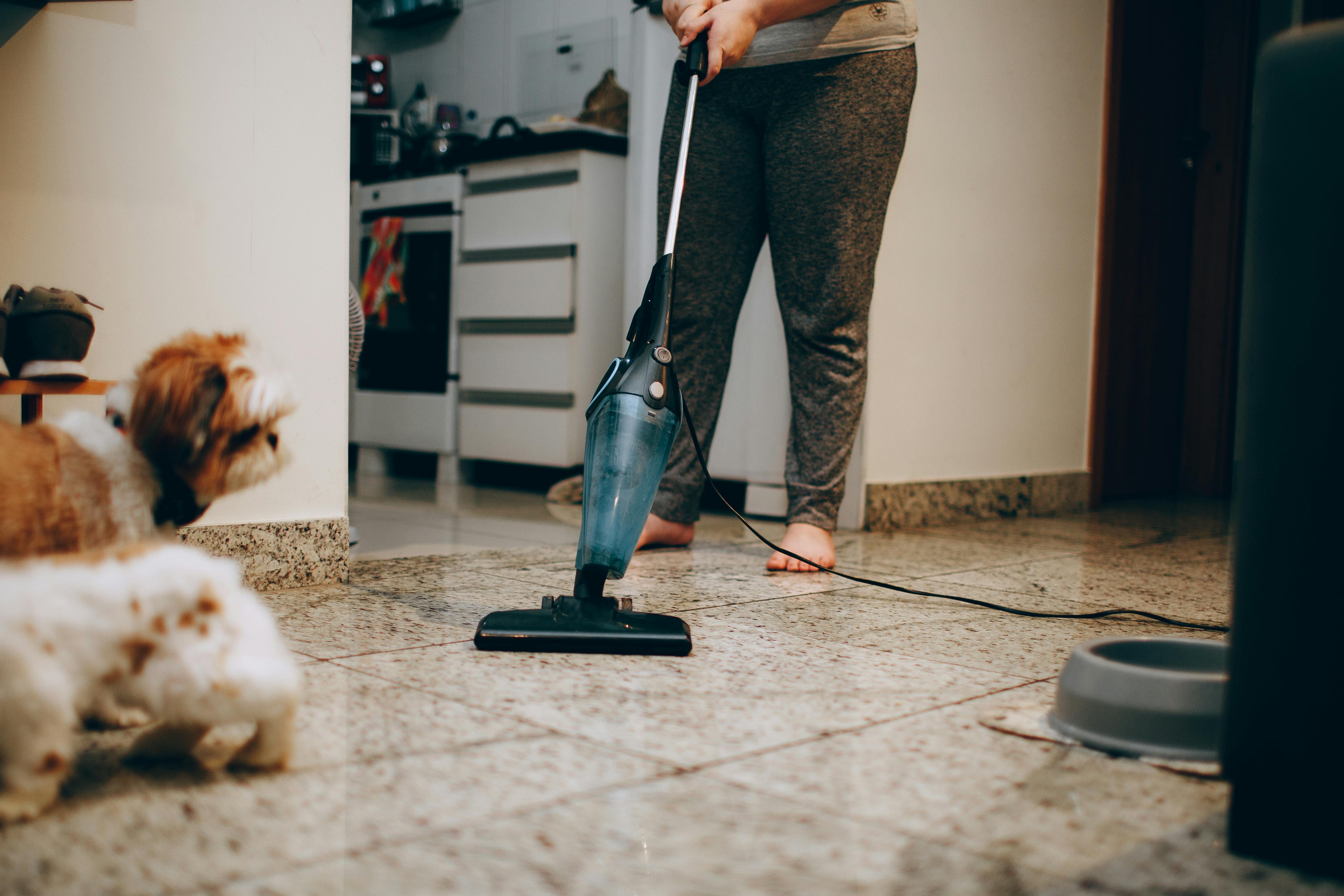 Free A woman cleaning the floor with a vacuum cleaner while a dog watches attentively. Indoor home setting. Stock Photo