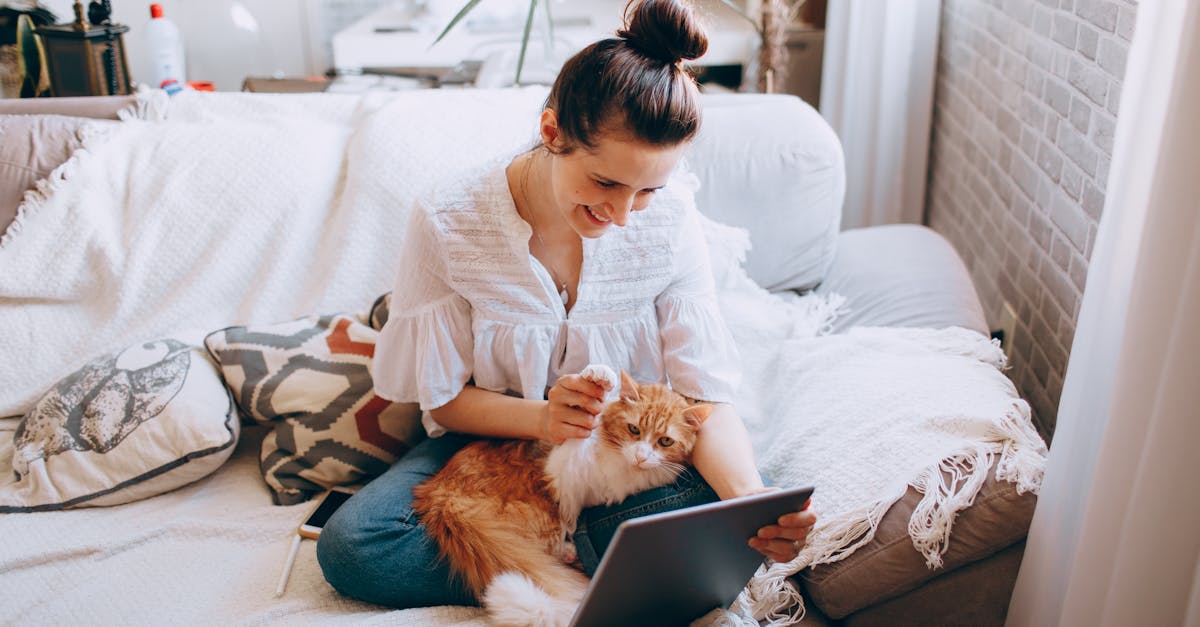 Woman Sitting with Cat and Tablet on Bed