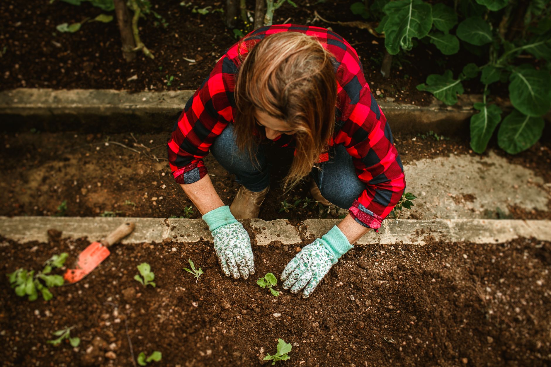 gardening image