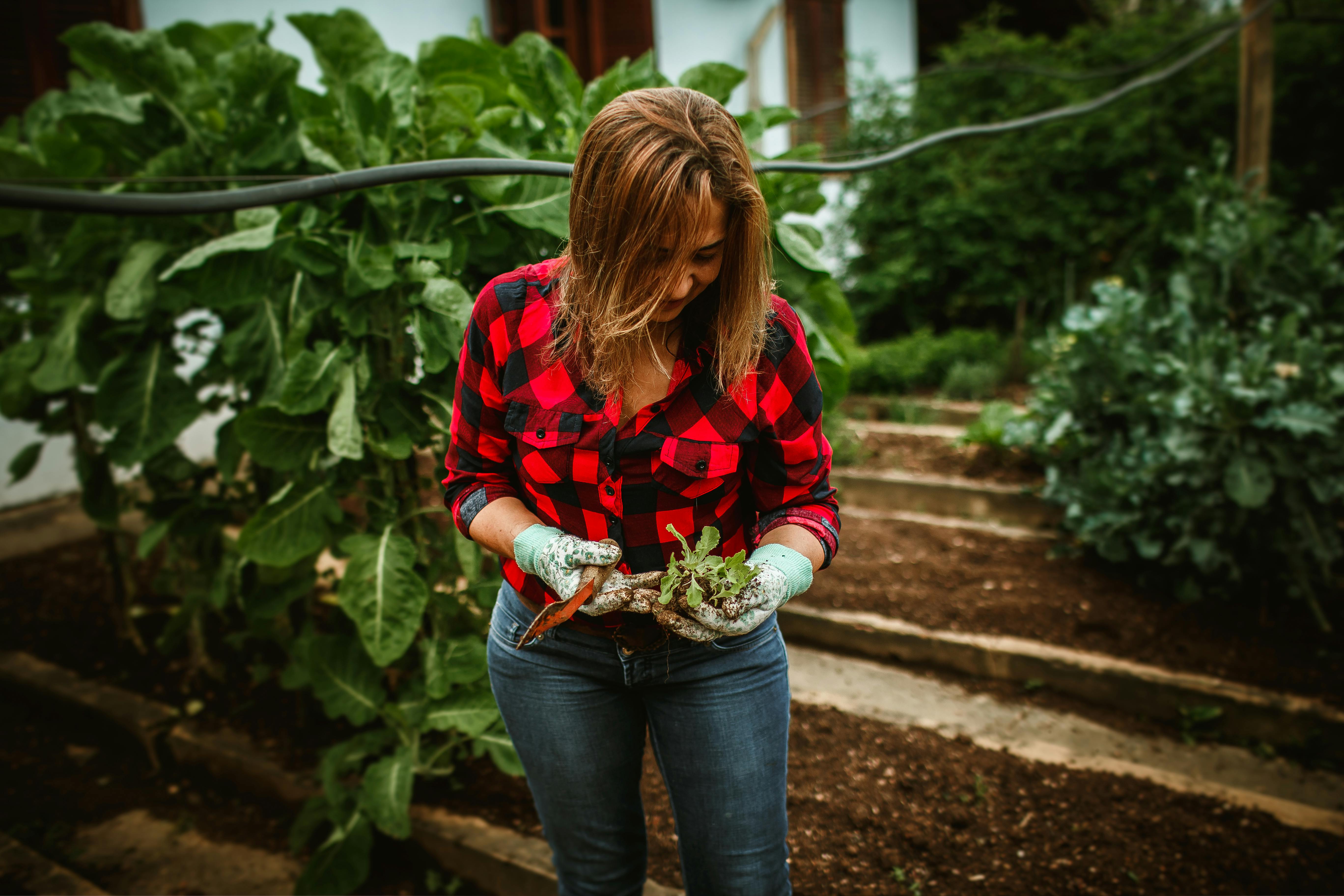 6 Vegetable Gardening Mistakes Beginners Make — And What To Do Instead — Photo by Helena Lopes on Pexels