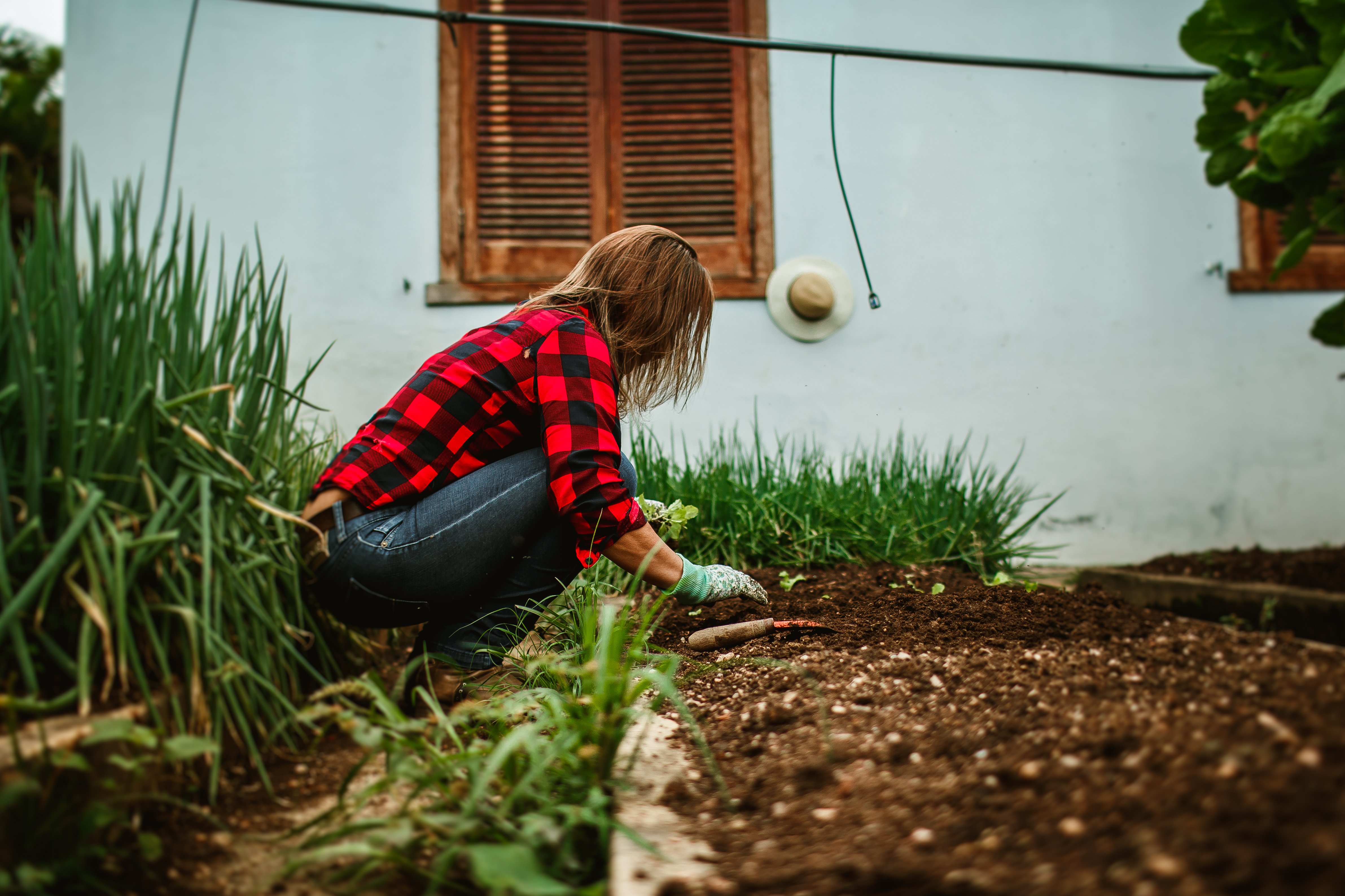 The best gardening tools, tested and expert-approved — Photo by Helena Lopes on Pexels