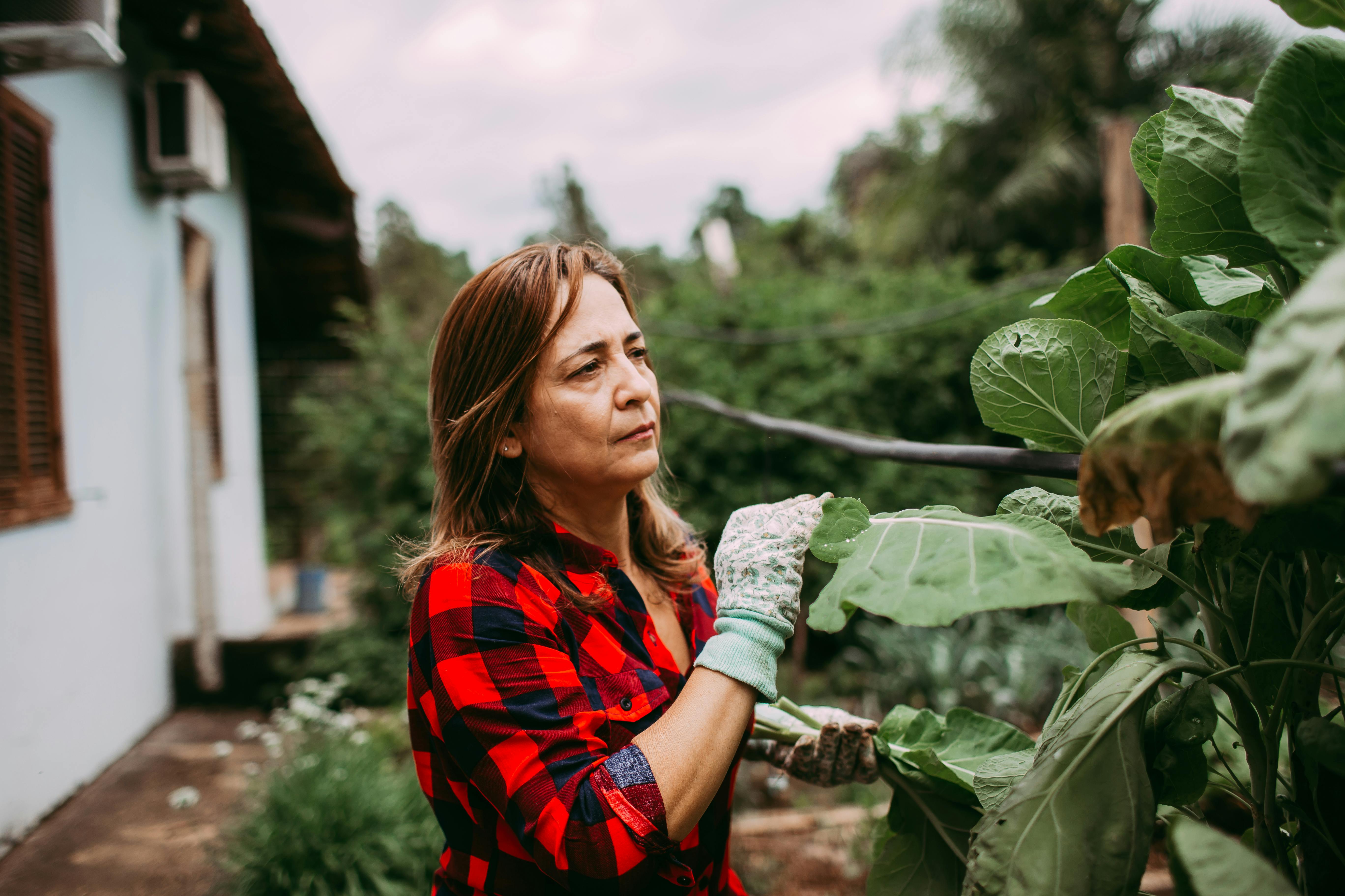 gardening gloves — Photo by Helena Lopes on Pexels