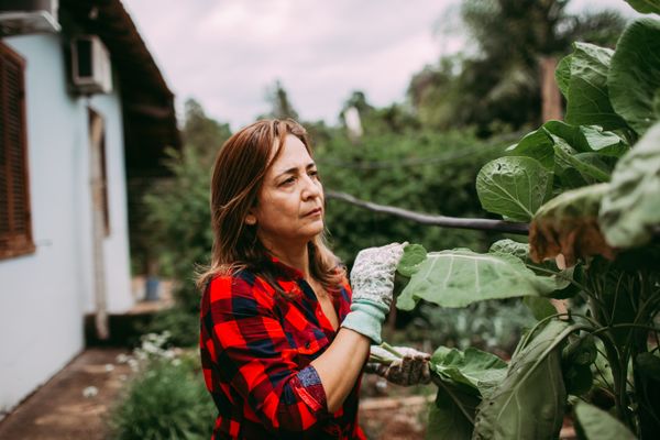 Building a Kitchen Garden Calendar for Nairobi — Green Revolution Farmers