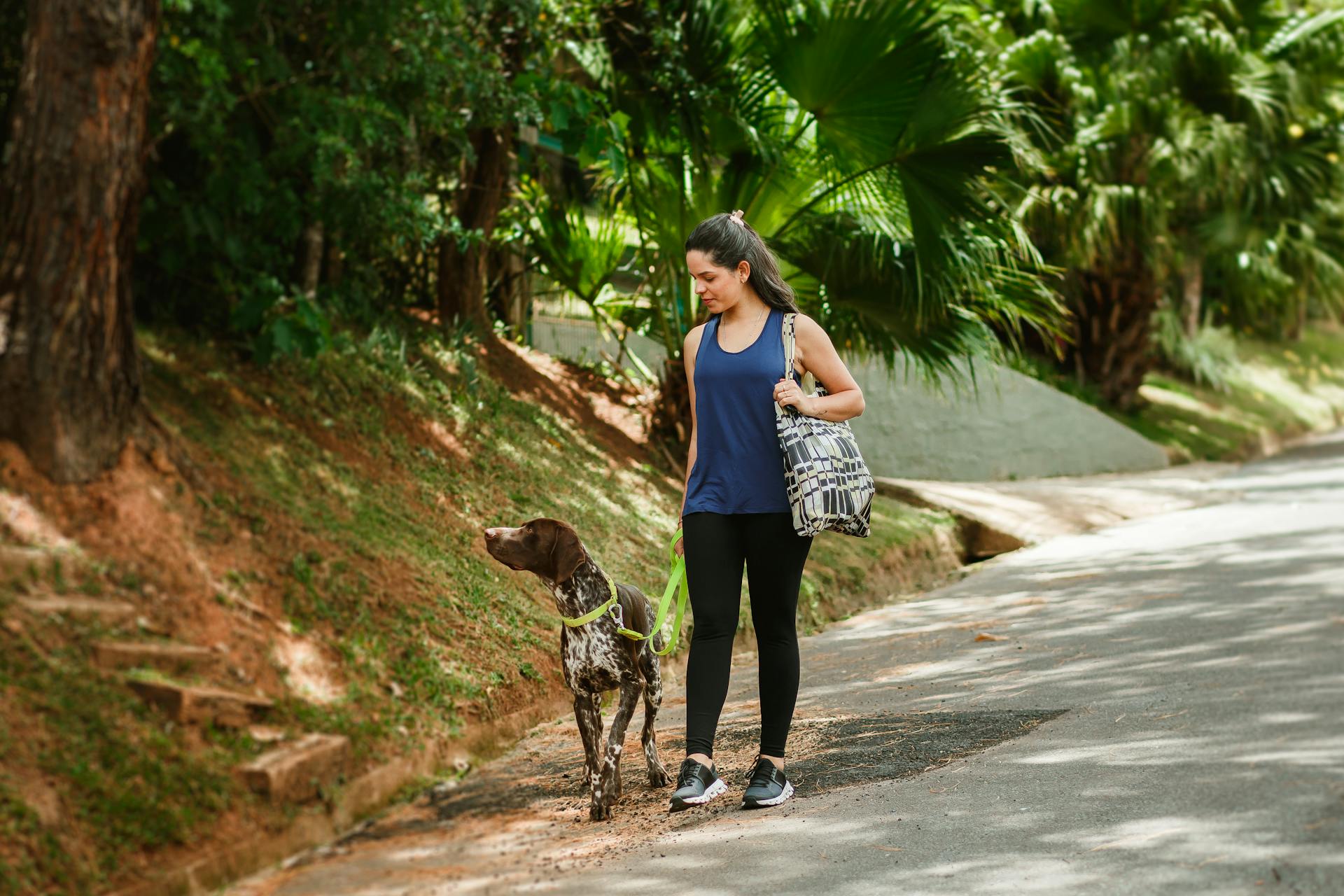 A woman walking her dog on a road