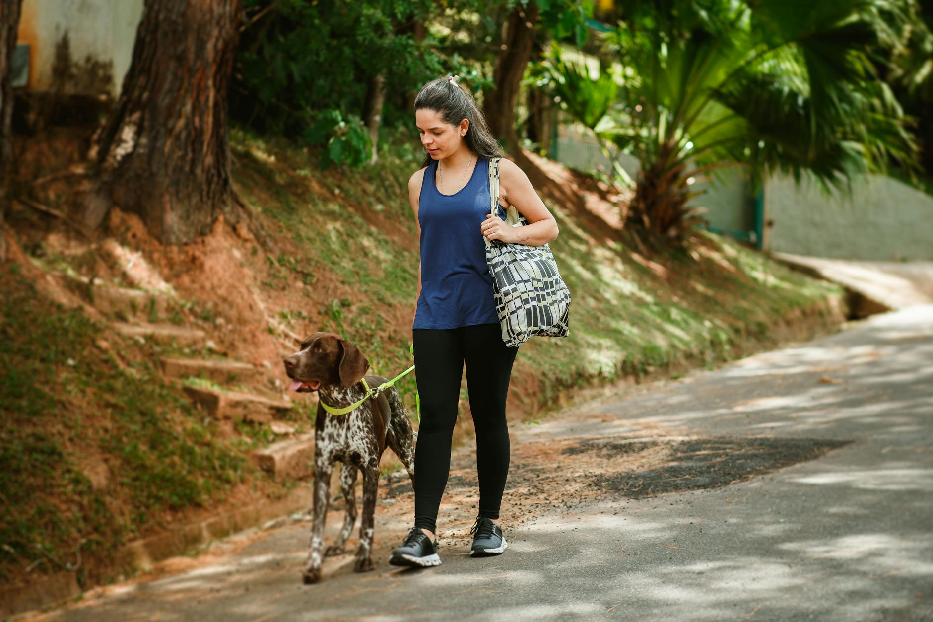 A woman walking her dog on a street
