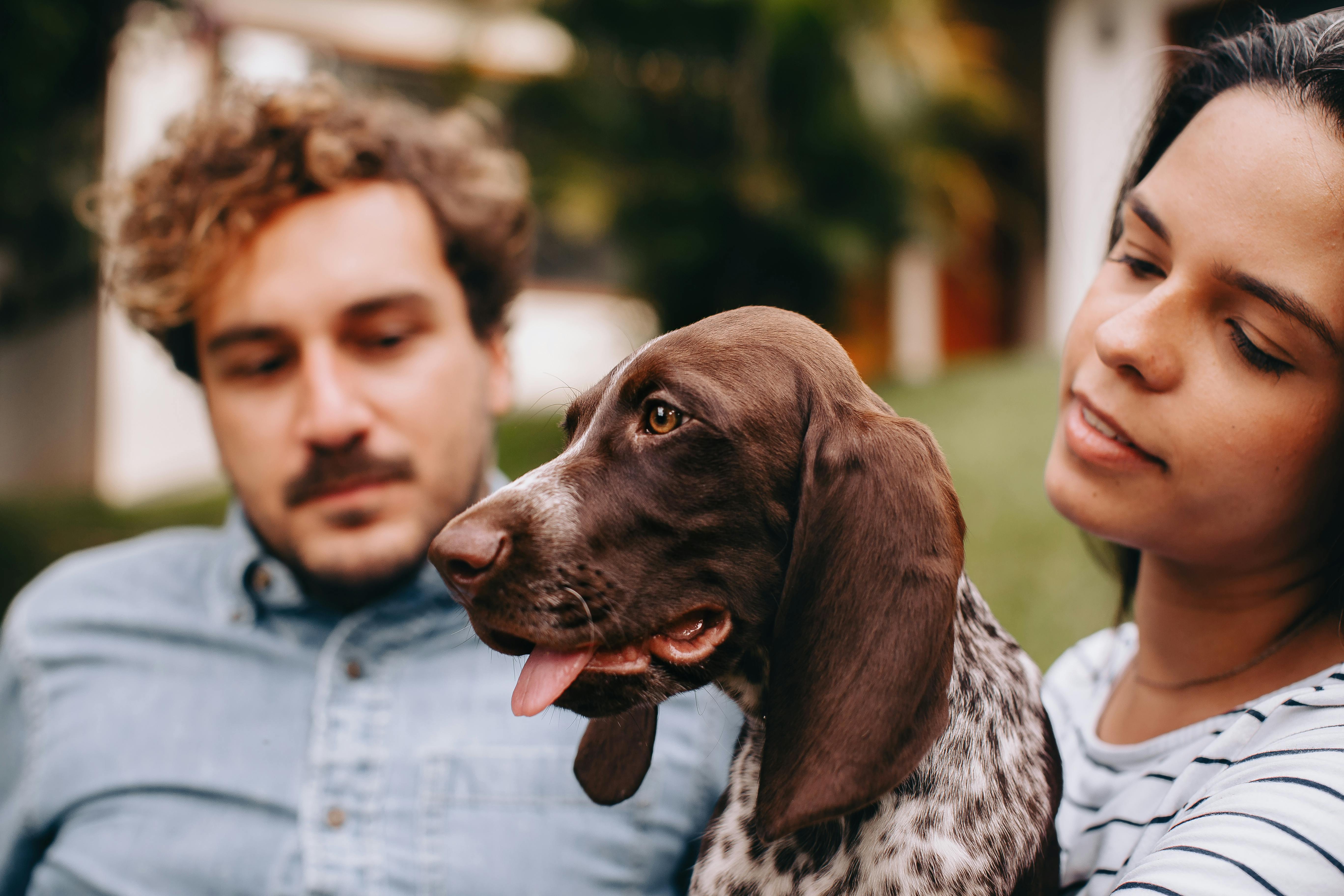 A man and woman holding a dog in front of them