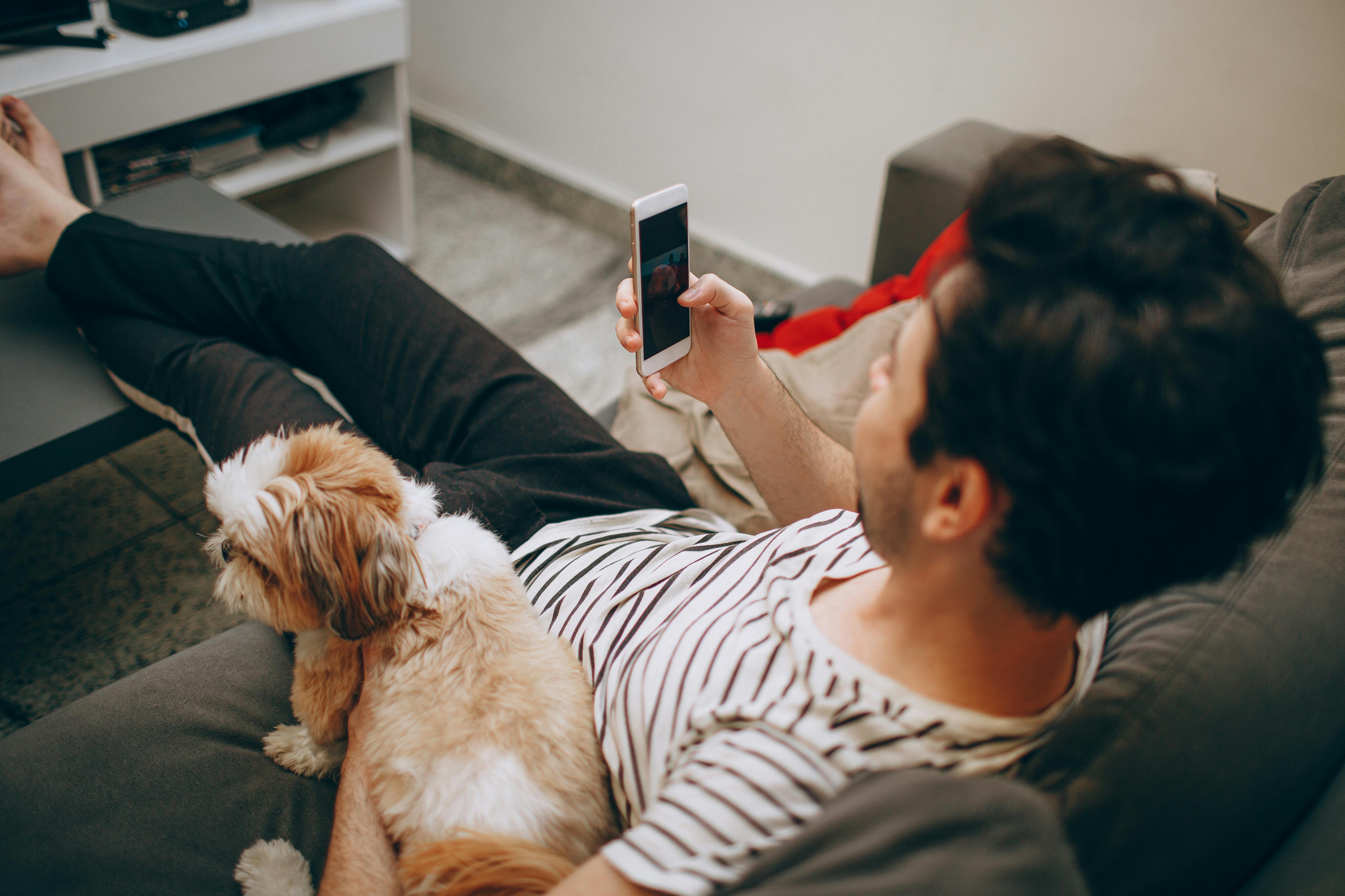 pet technology pet refine technology — Photo by Helena Lopes on Pexels